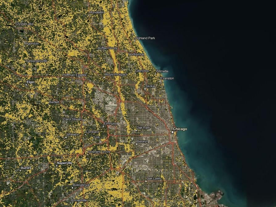 Lindsay Darling, a researcher at Morton Arboretum, mapped the location of shrubby invaders in the Chicago region. The yellow represents stands of buckthorn as well as honeysuckle. (The Morton Arboretum)