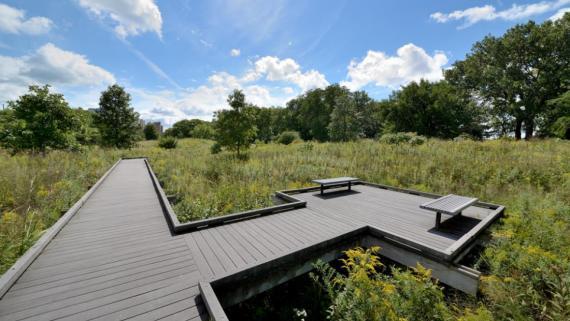  Burnham Centennial Prairie (Courtesy of Chicago Park District)