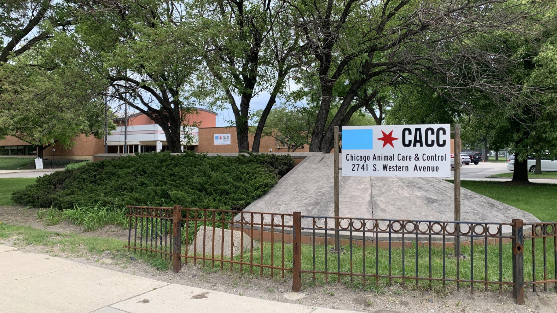 Chicago Animal Care and Control on the Lower West Side on May 20, 2024. (Eunice Alpasan / WTTW News)