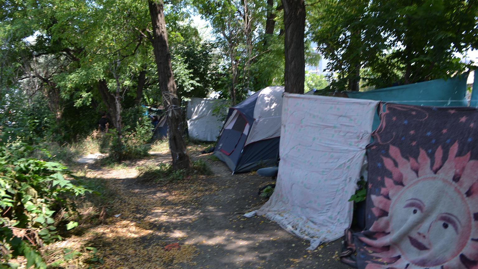 Tents set up in a homeless encampment along DesPlaines Street north of Roosevelt Road. (Kristen Thometz / Chicago Tonight)