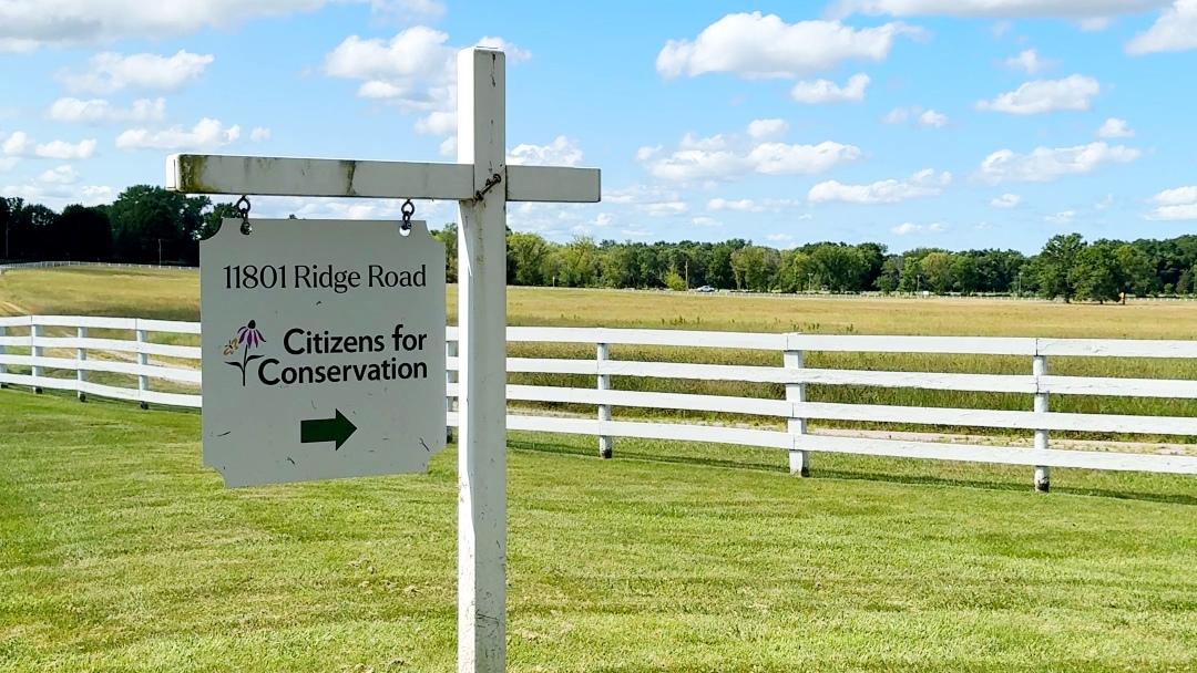 Citizens for Conservation is restoring grassland in the middle of Barrington's horse country. (Nicole Cardos / WTTW News)
