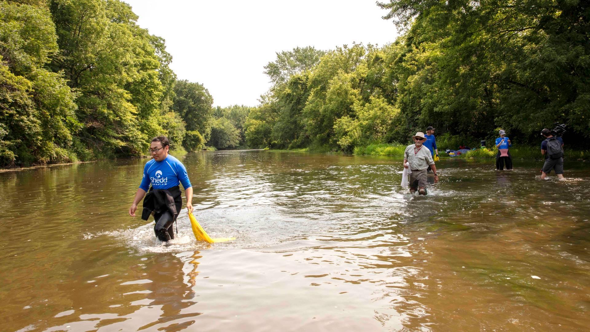 Shedd Aquarium’s Center for Species Survival will raise the profile of freshwater environments. (Brenna Hernandez / Shedd Aquarium)