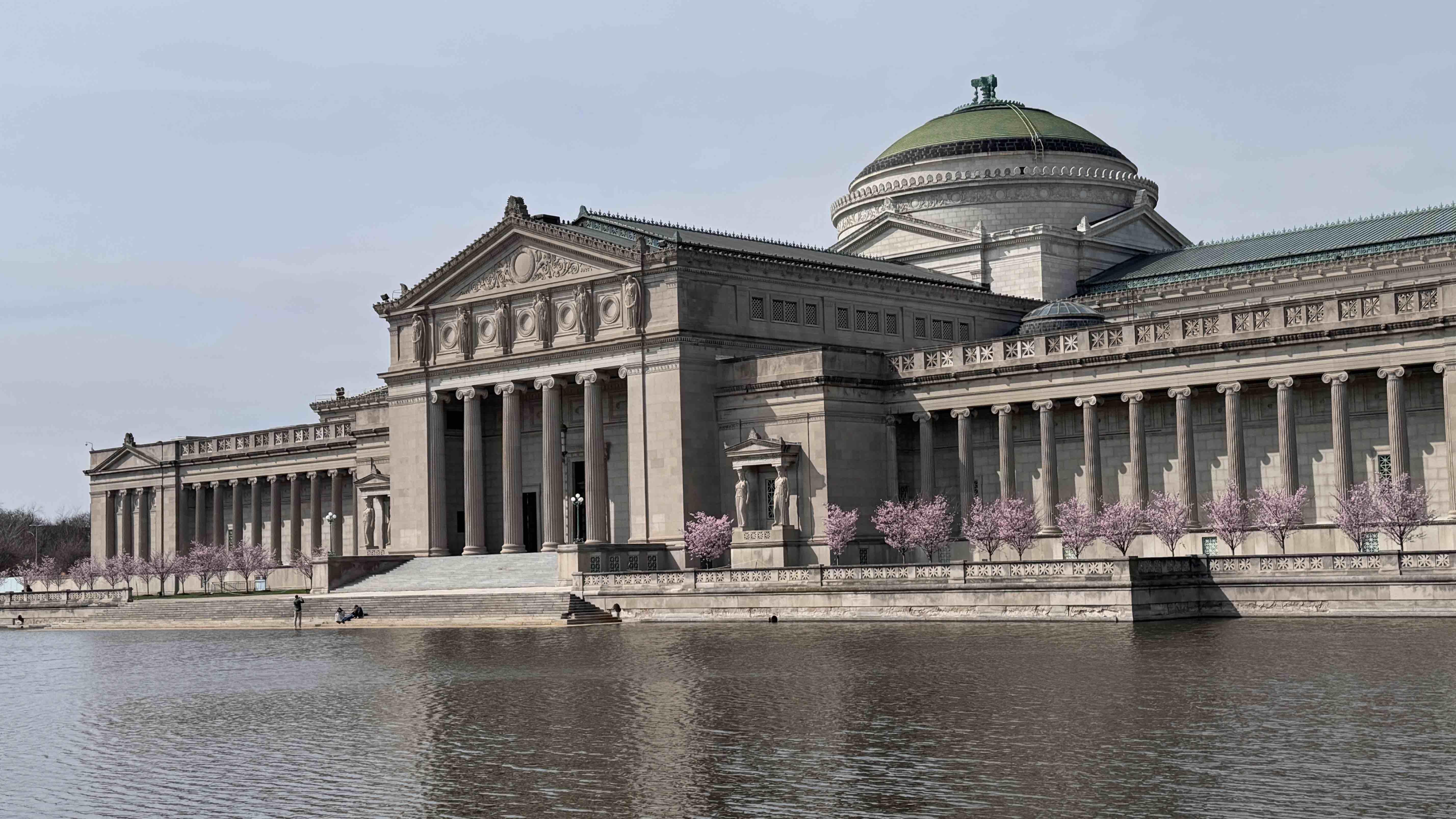 The south portico at the Griffin Museum of Science and Industry is framed by cherry trees, with the Columbia Basin in the foreground; April 3, 2026. (Patty Wetli / WTTW News)