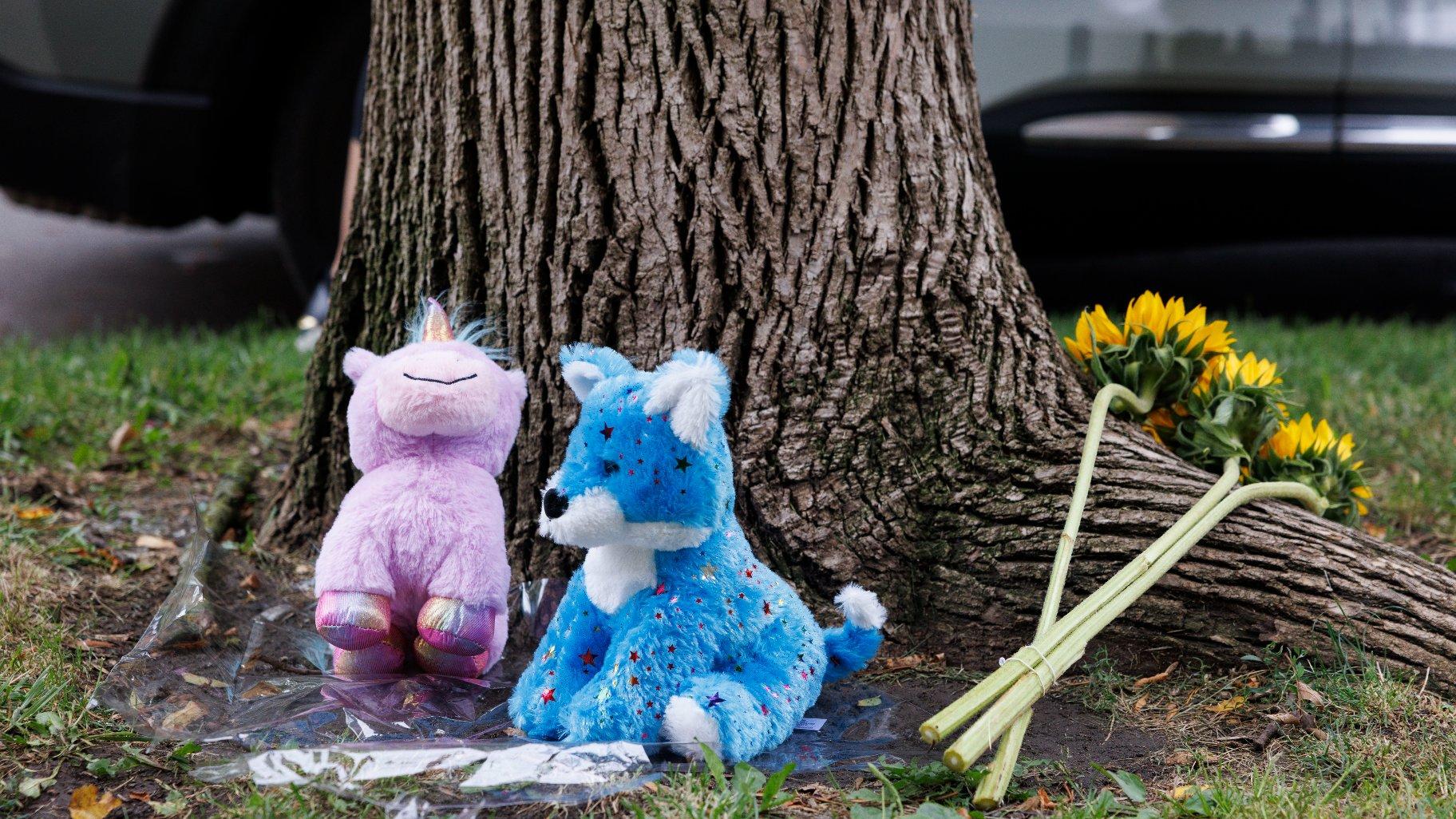 Two stuffed toys and sunflowers are laid at the scene where an 8-year-old Chicago girl was killed in Portage Park, Sunday, Aug. 6, 2023. (Anthony Vazquez/Chicago Sun-Times via AP)