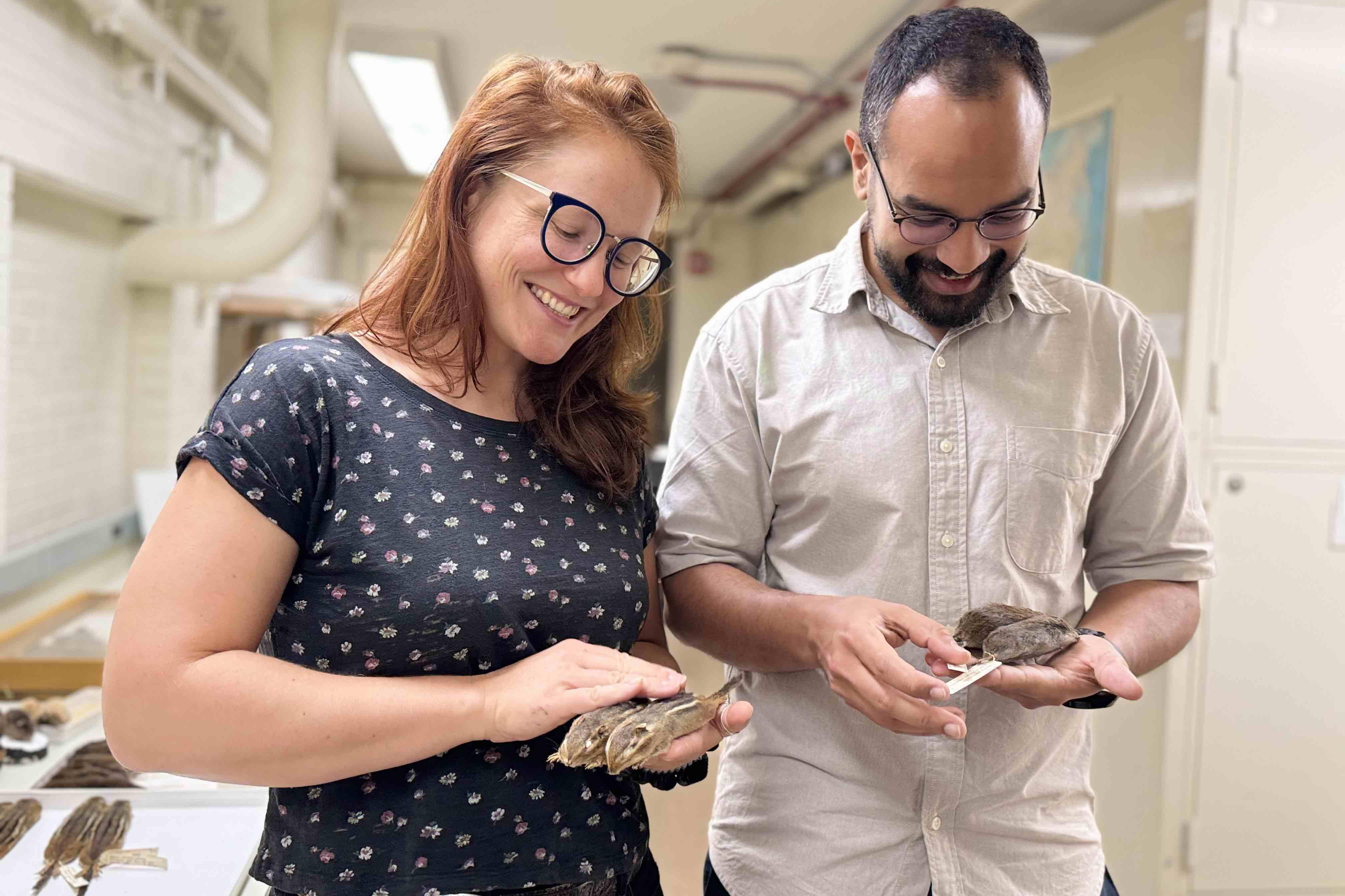 Field Museum scientists Stephanie Smith (l) and Anderson Feijó with specimens of chipmunks and voles. (Patty Wetli / WTTW News)