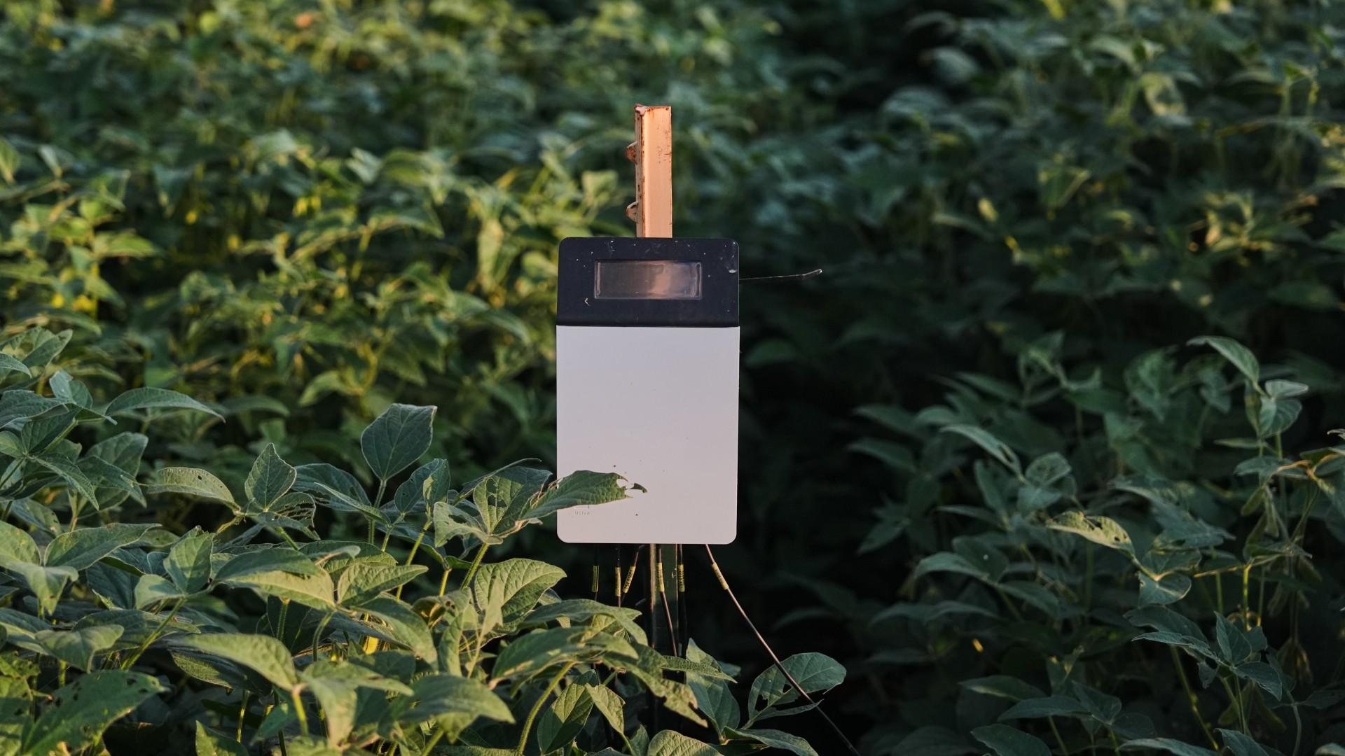 A device measures carbon levels in soil Tuesday, Sept. 1, 2026, at a research farm in Champaign, Ill. (AP Photo / Joshua A. Bickel)