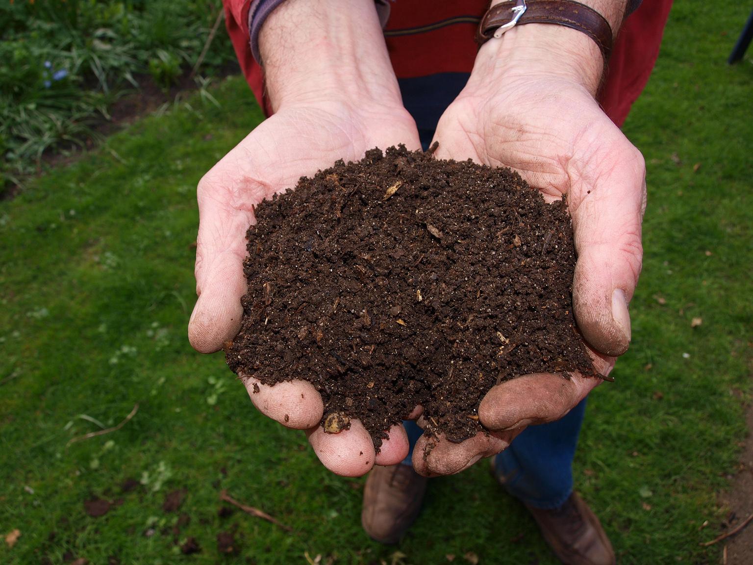 Composting in Chicago: How residential composting works