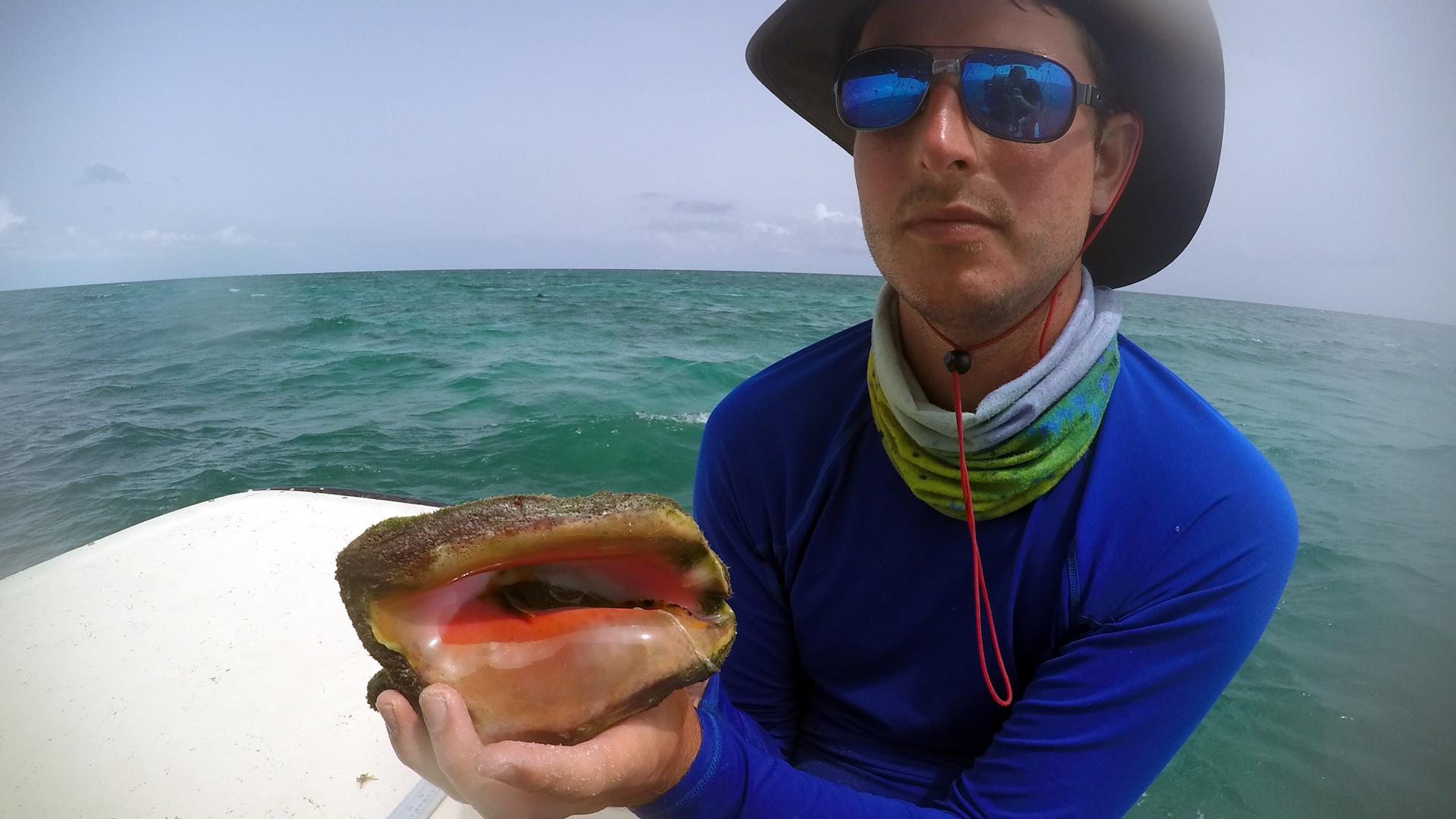 Shedd Aquarium researcher Andy Kough holds a conch shell near the Bahamas. (©Shedd Aquarium / Sam Cejtin)