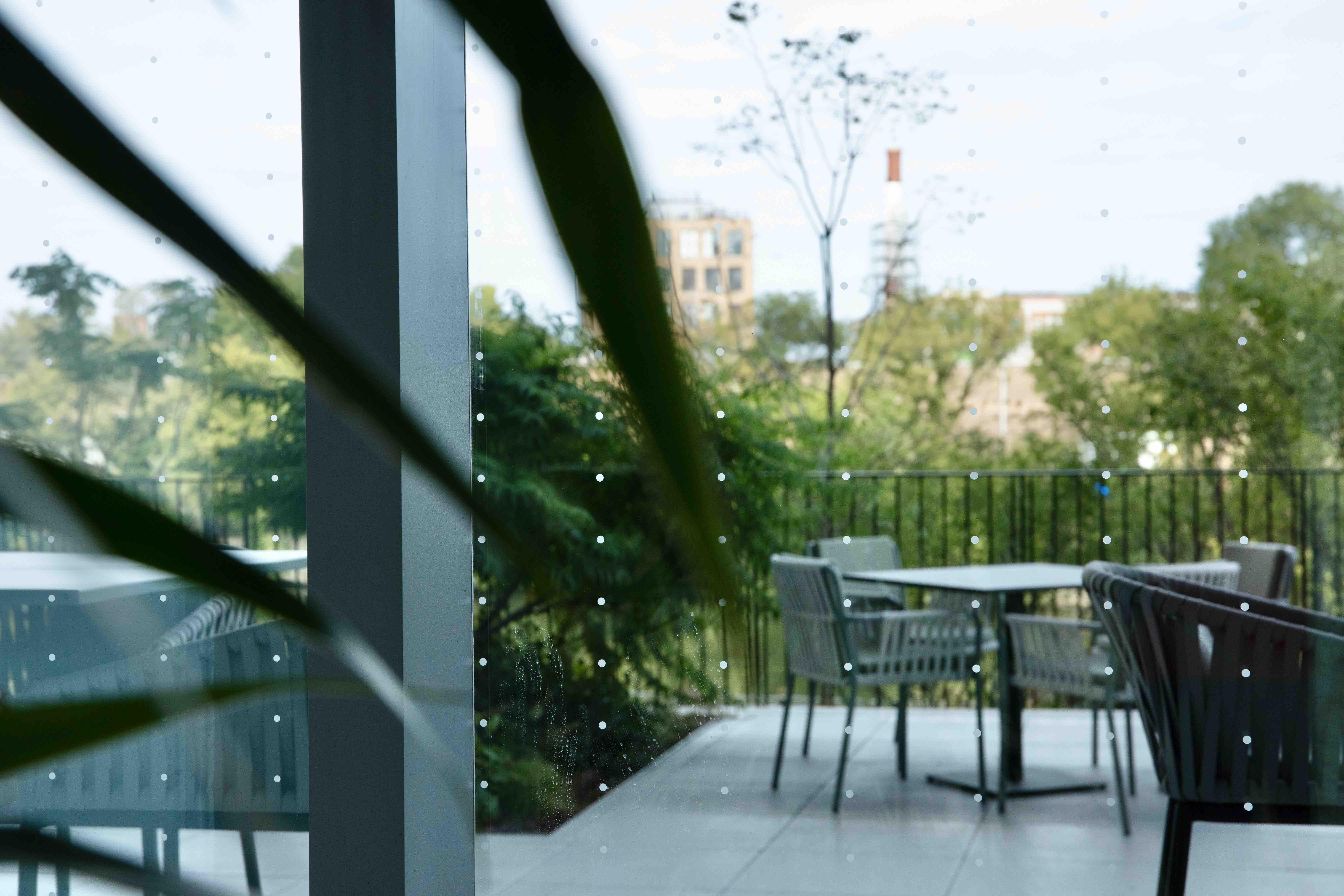 The view from inside 1229 West Concord, looking out through fritted glass. (Michael Izquierdo / WTTW News)