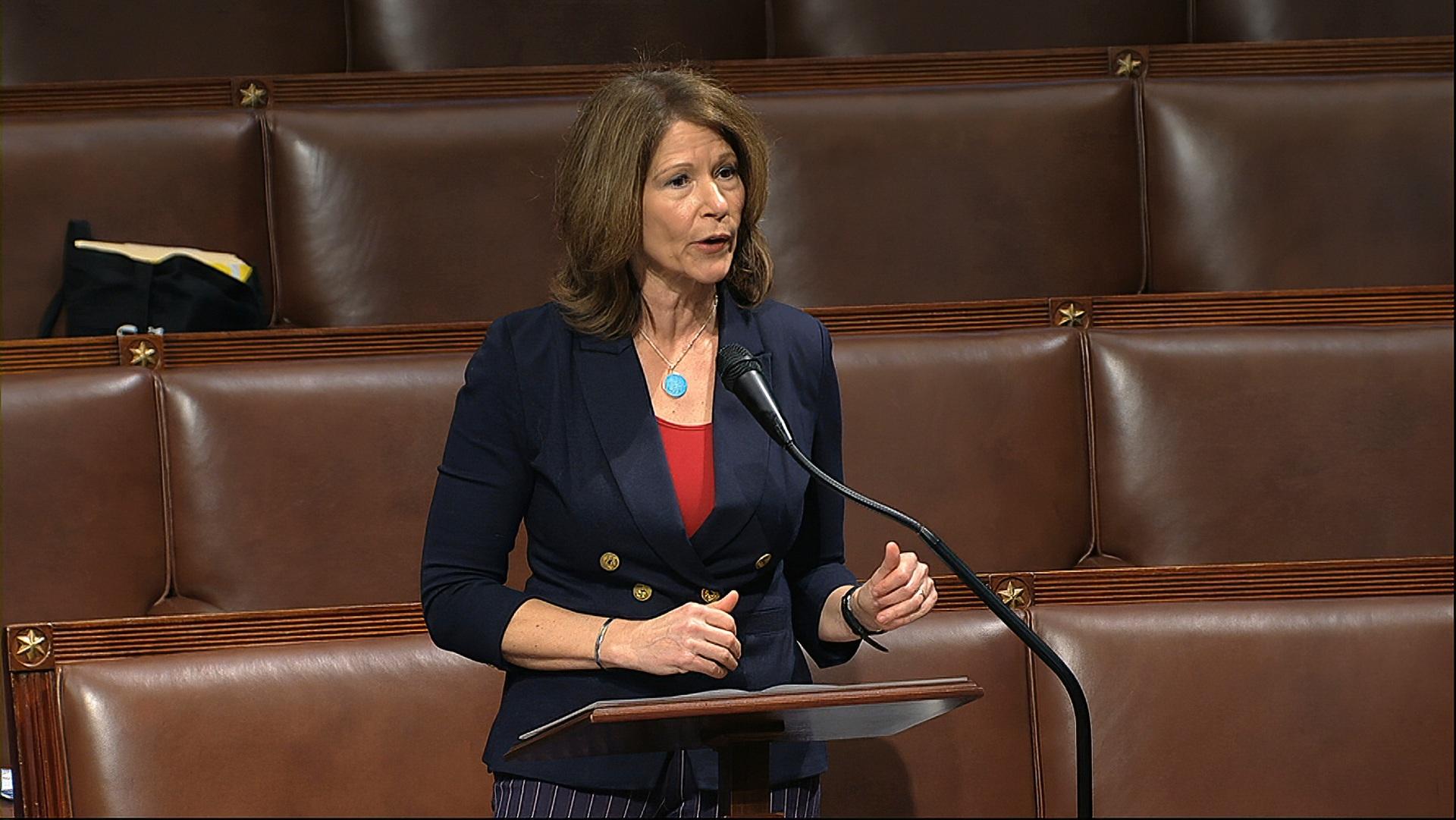 In this April 23, 2020, file image from video, Rep. Cheri Bustos, D-Ill., speaks on the floor of the House of Representatives at the U.S. Capitol in Washington. (House Television via AP, File)