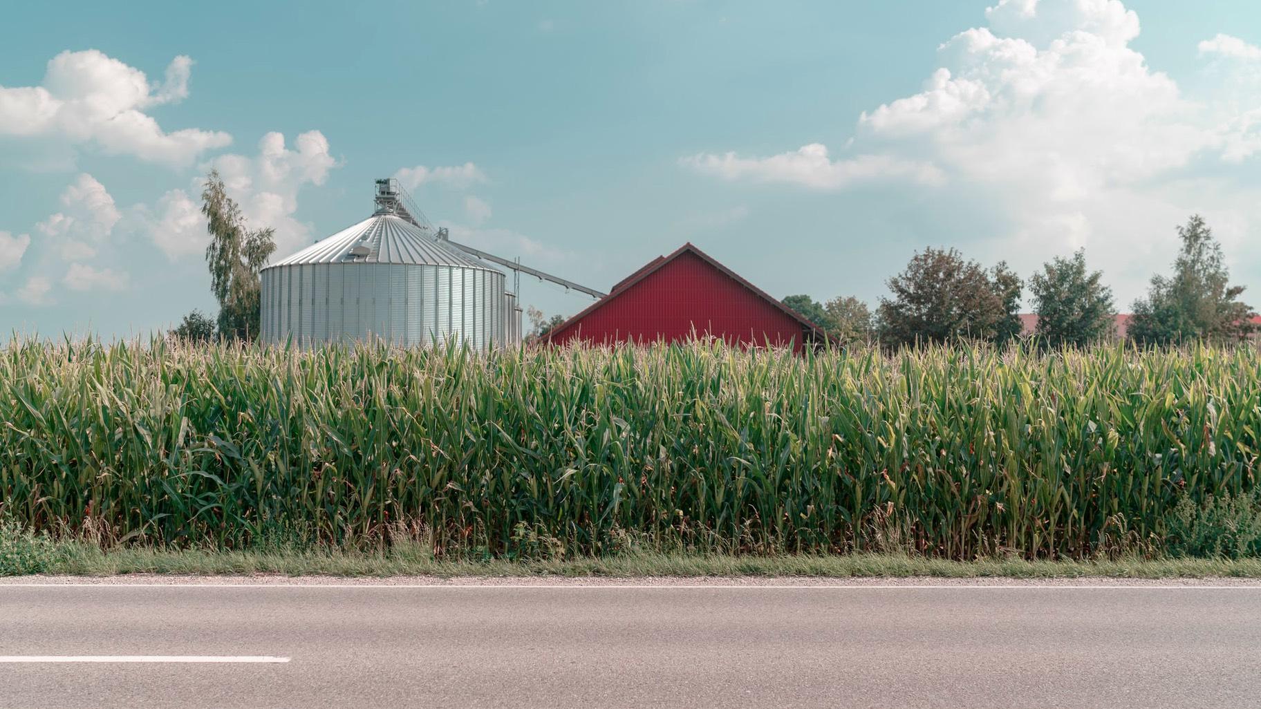 Two-thirds of Illinois is cropland. (Julian School / Unsplash)