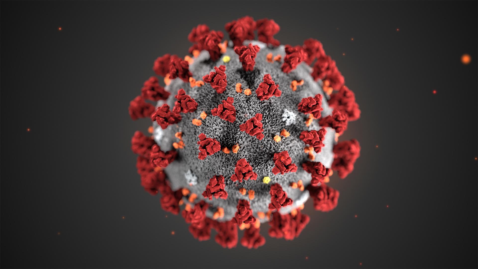 1st Case of Person-to-Person Spread of Coronavirus in US Stems from Chicago | Chicago ...1920 x 1080