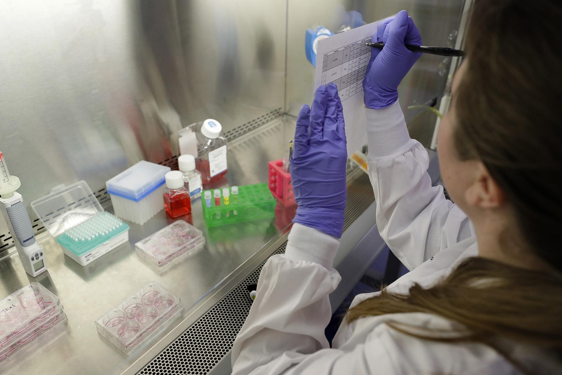 In this Wednesday, Jan. 15, 2020, photo, scientist and study director Jennifer Molignano notates the time she begins dosing living human skin tissues with two types of commercially available skin care products during a demonstration of experiments at a MatTek Corporation lab, in Ashland, Massachusetts. (AP Photo / Steven Senne)