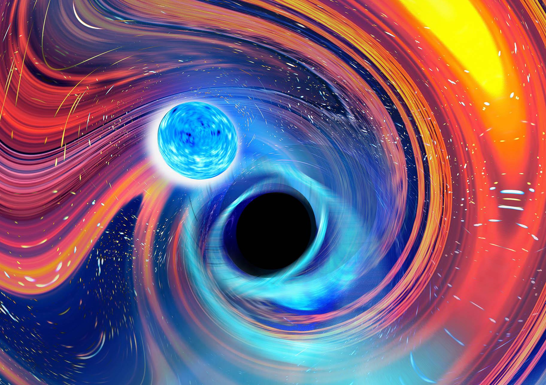 This illustration provided by Carl Knox depicts a black hole, center, swallowing a neutron star, upper left. The blue lines are gravitational waves, ripples in time and space, which is how astronomers detected the merger, and orange and red areas indicate parts of the neutron star being stripped away. (Carl Knox / OzGrav / Swinburne University Australia via AP)