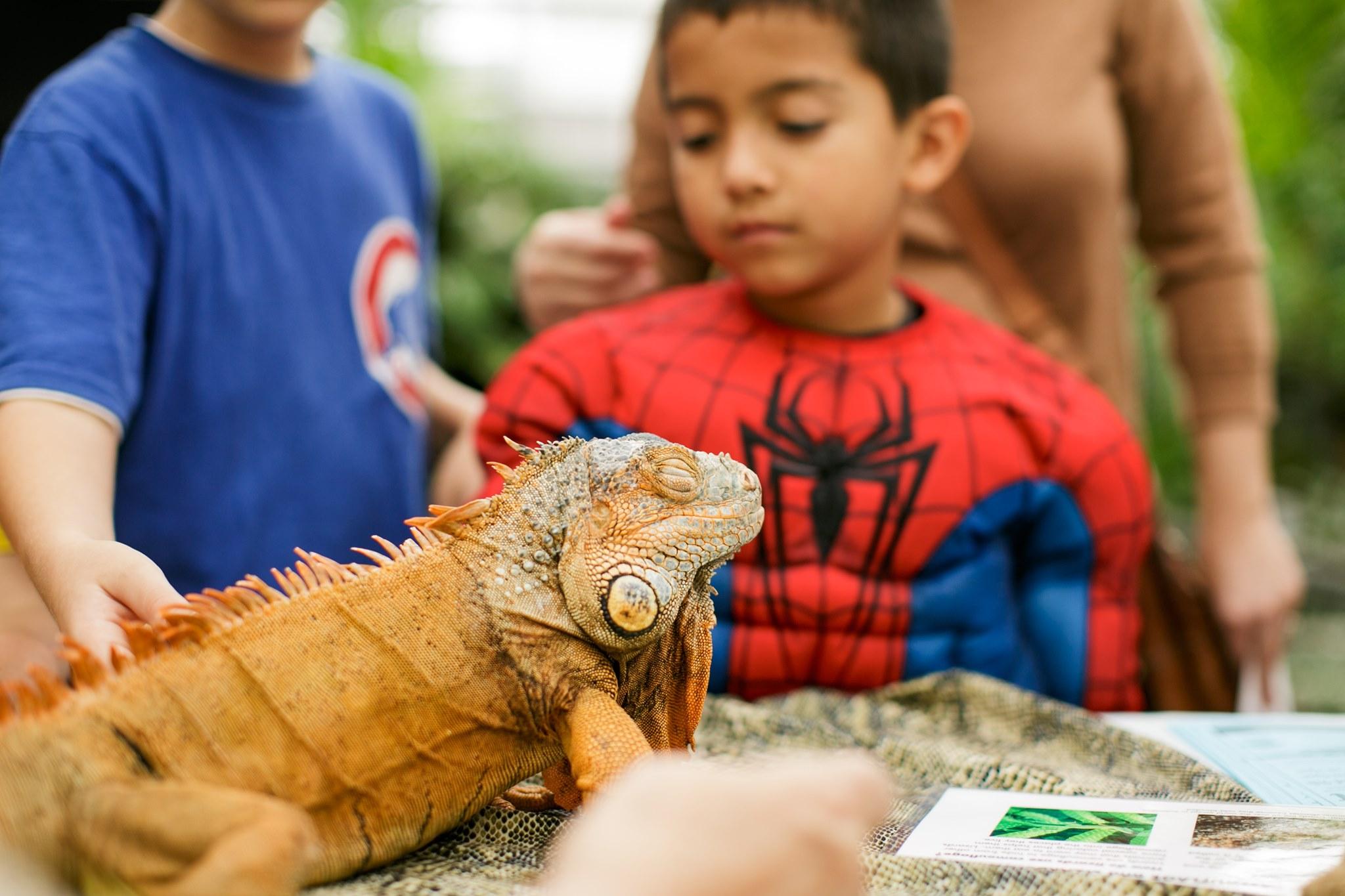 (Garfield Park Conservatory / Facebook)