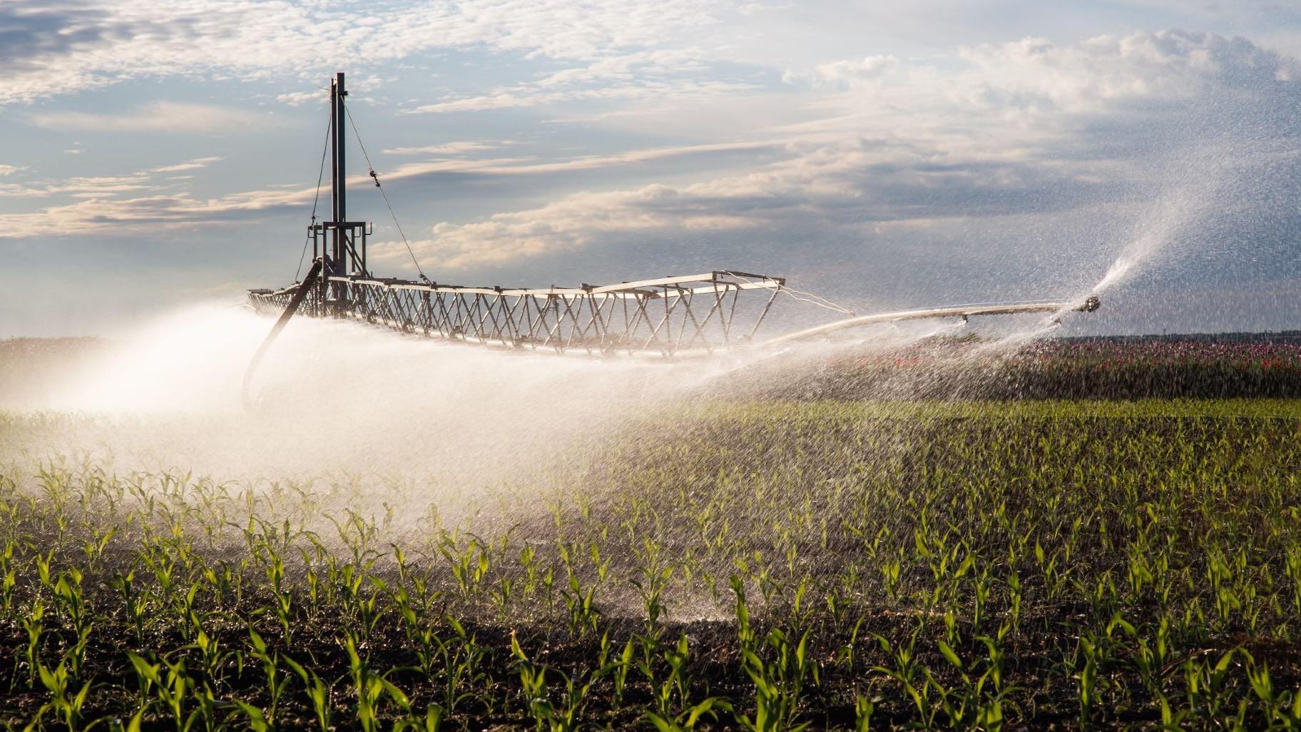Agriculture will compete with data centers and mining operations for water resources. (Fotokostic / iStock)