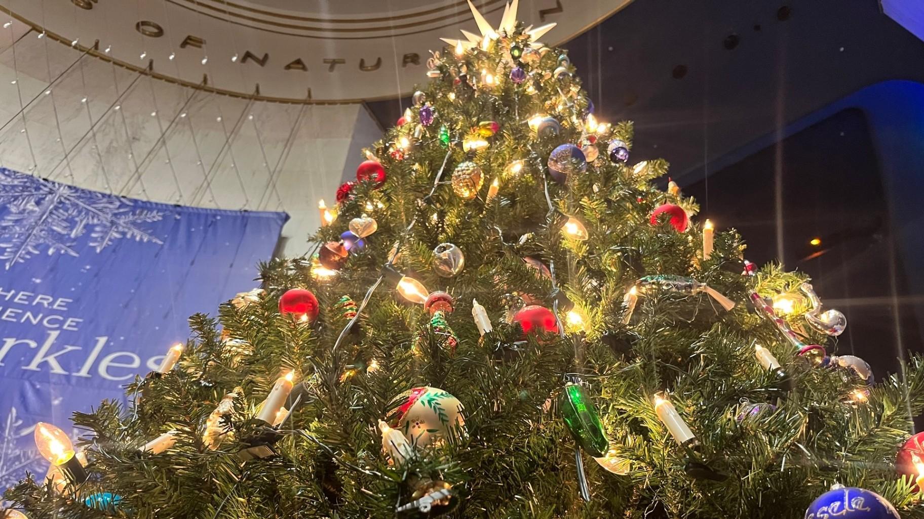L'11 novembre 2023 verrà esposto un albero di Natale contenente oggetti che celebrano la Repubblica Ceca. (Angel Idowu/WTTW News)