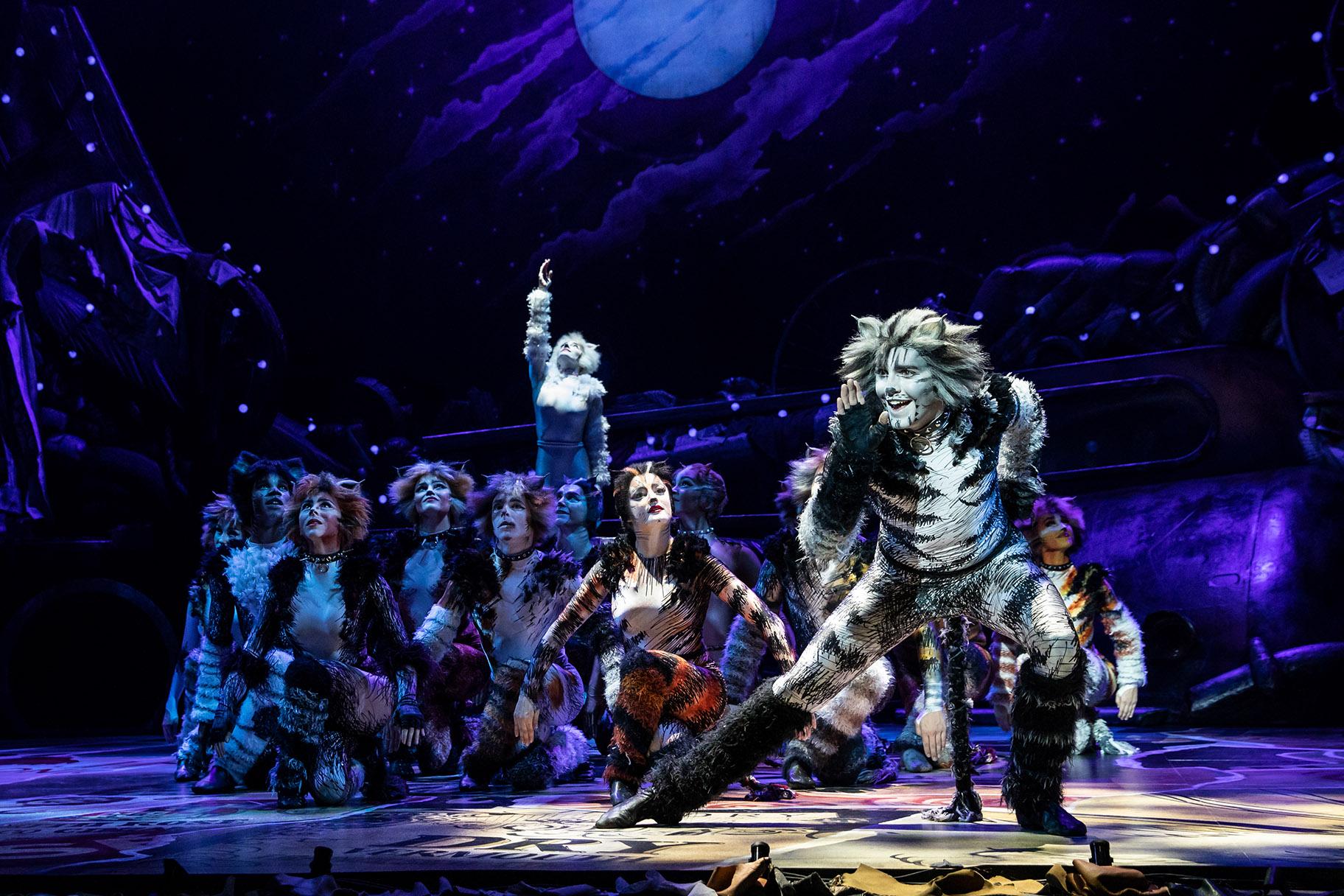 Dan Hoy as Munkustrap and the North American Tour of “Cats.” (Photo by Matthew Murphy)