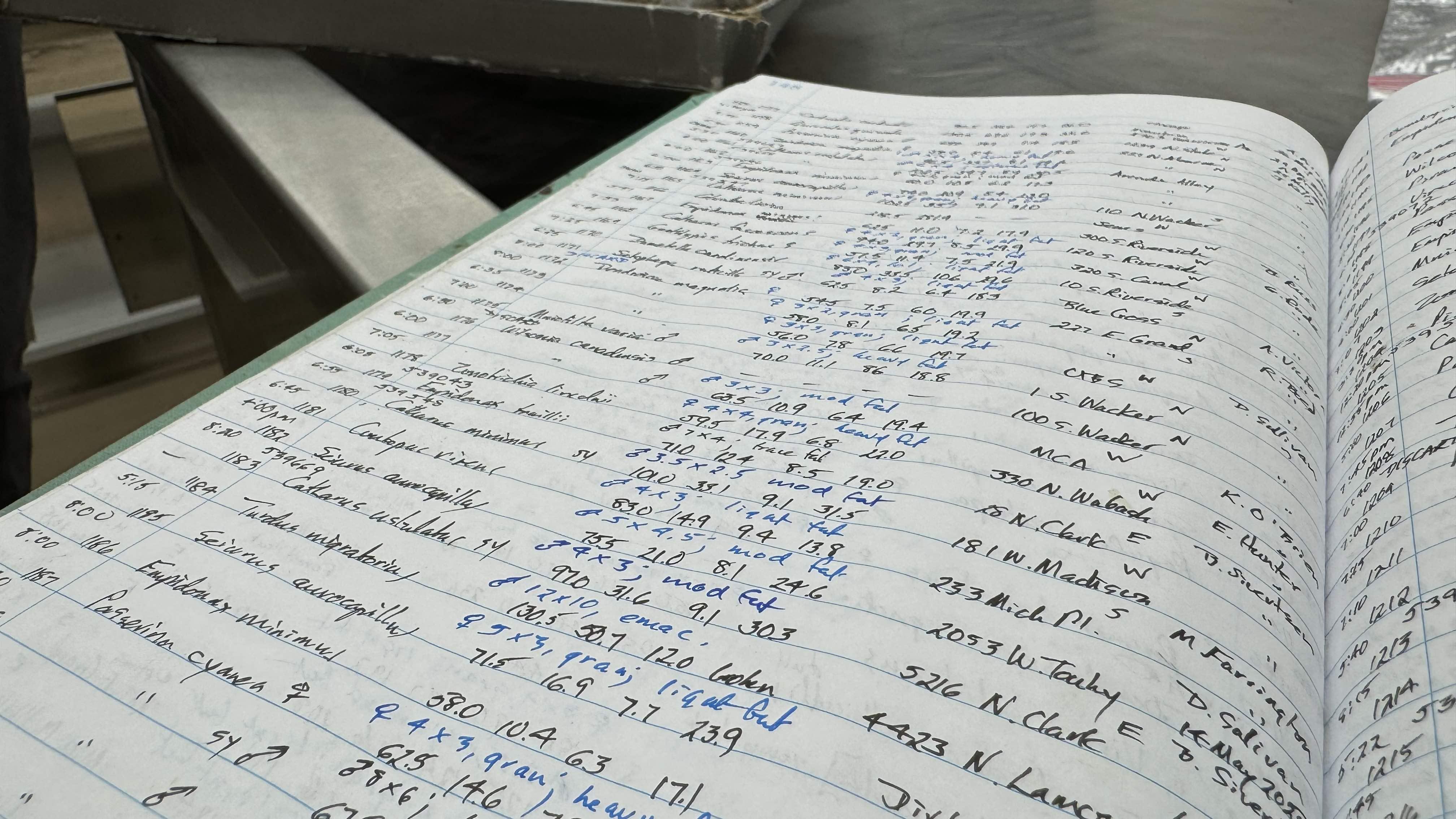 For more than 40 years, Dave Willard has kept meticulous records of every dead bird brought to the Field Museum, filling up an estimated 50 such notebooks. (Patty Wetli / WTTW News)