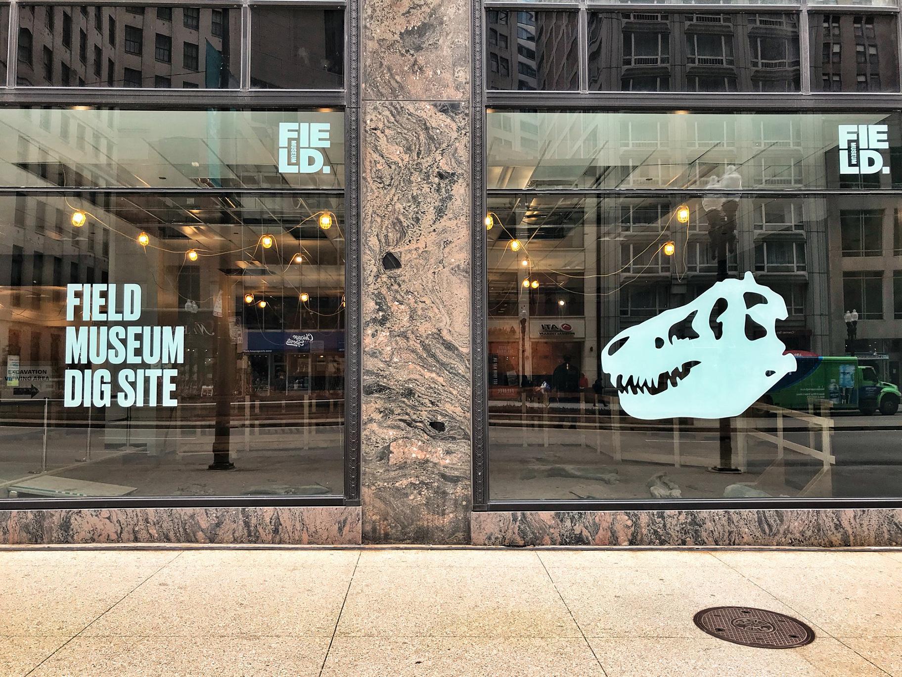 The Field Museum’s new pop-up “Dig Site” (333 N. Michigan Ave.) aims to replicate a location where paleontologists might search for fossils. (Courtesy The Field Museum)