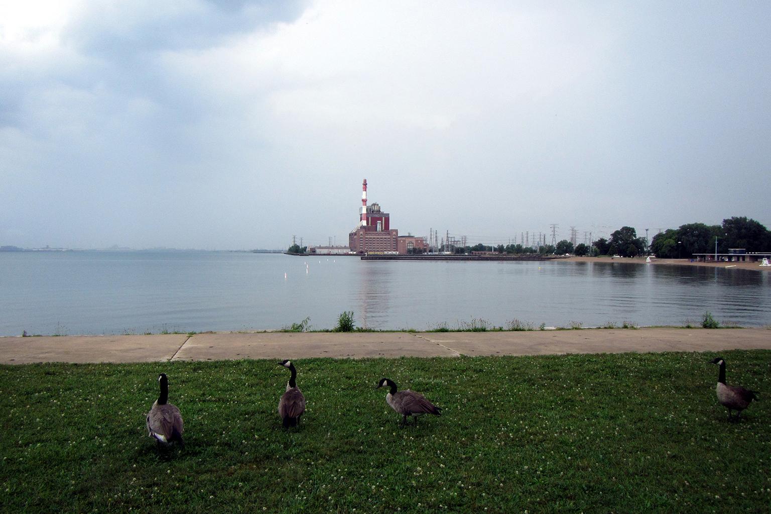 Chicago's newest dog park will be located at Calumet Park, near the U.S. Coast Guard Station at Calumet Harbor. (Bohao Zhao / Wikimedia Commons)