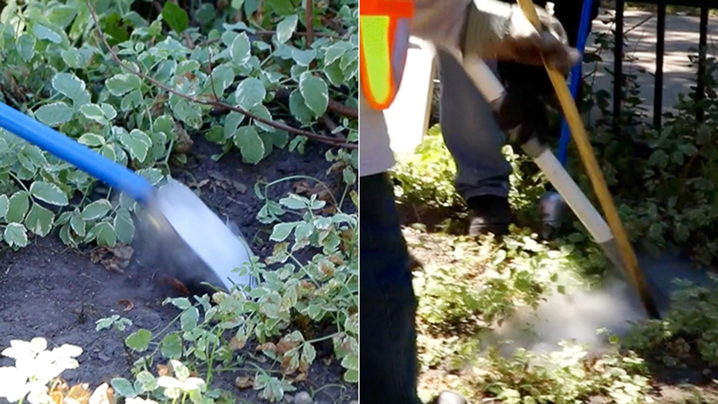 A sanitation crew fills a rodent burrow with dry ice then begins to cover it up at Tuesday's announcement in Washington Square Park. (Evan Garcia / Chicago Tonight)