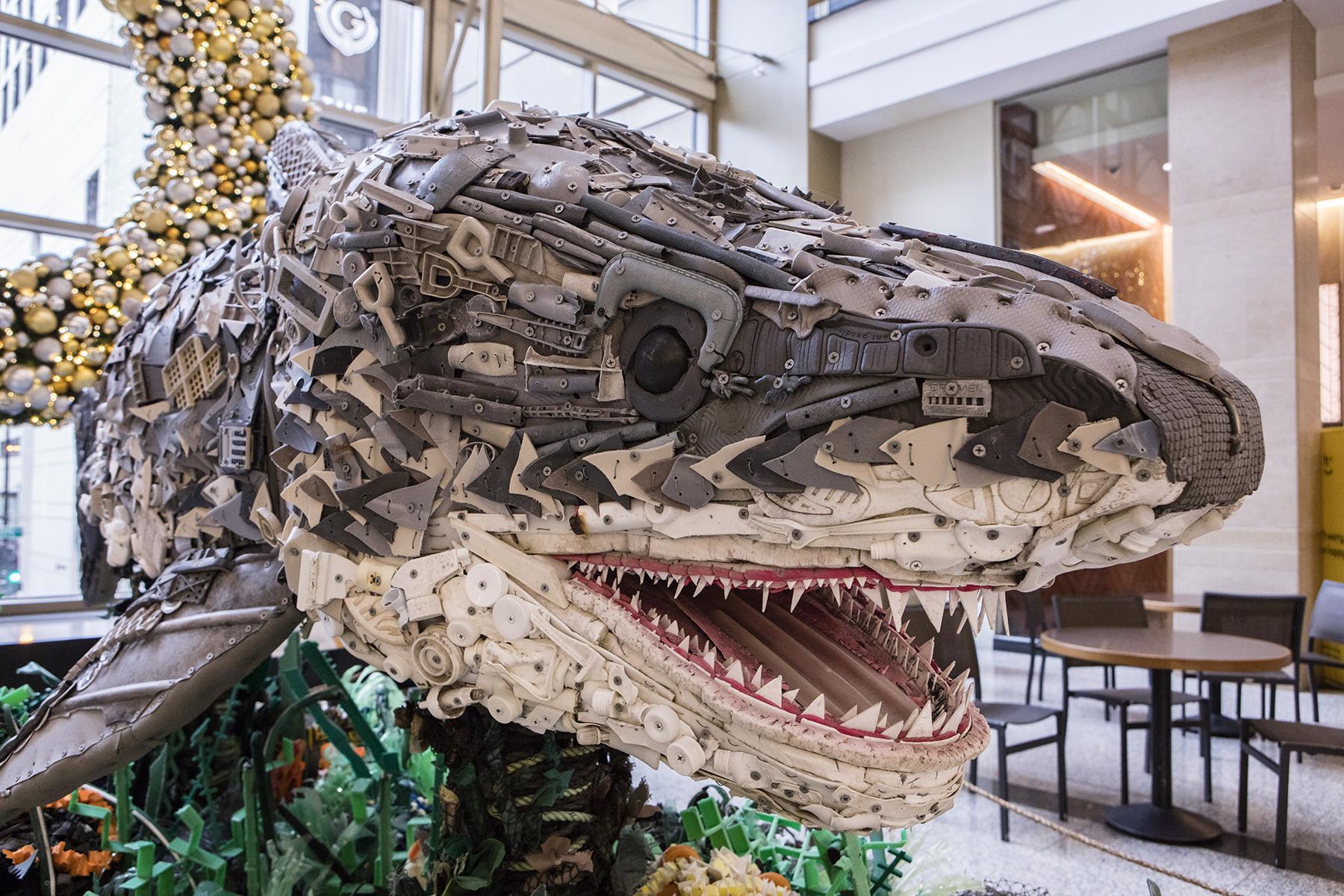 Chompers the shark (Courtesy Shedd Aquarium)