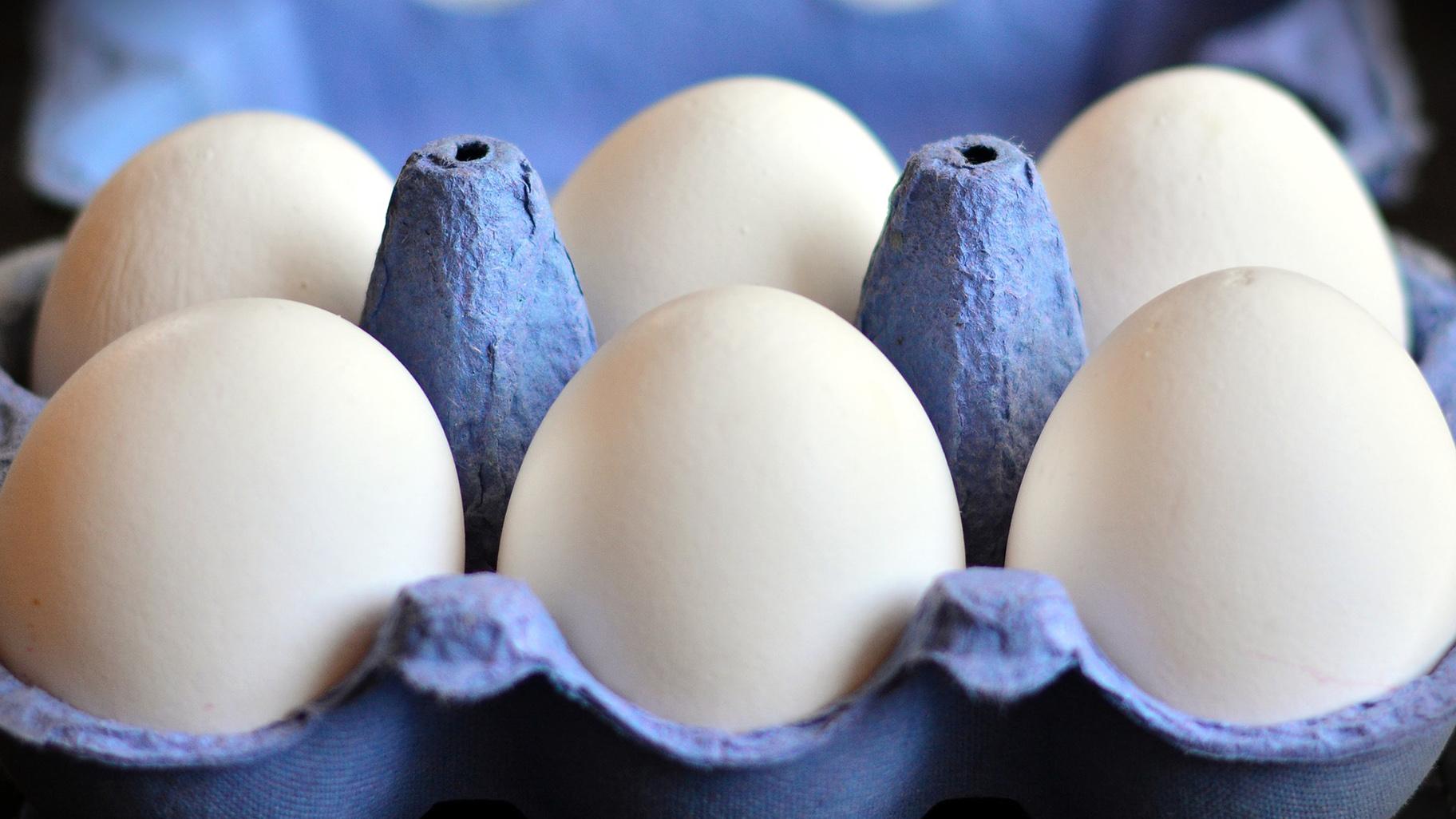 The Great Egg Debate - Are Eggs Healthy or Unhealthy?