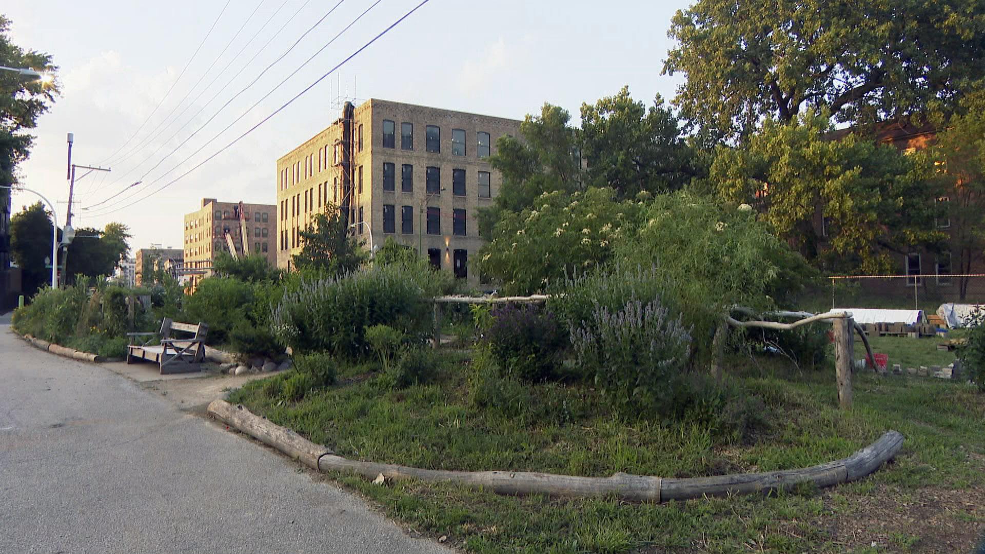 El Paseo Community Garden (WTTW News)