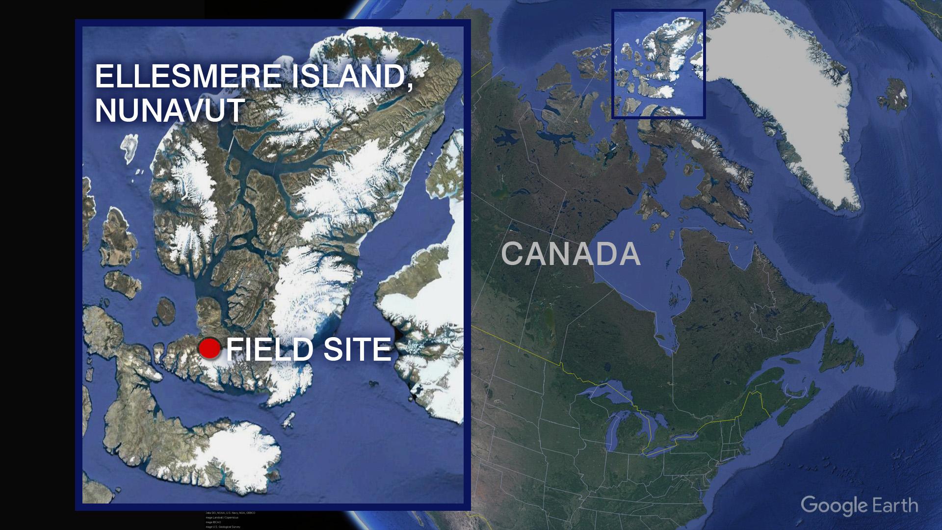 A map of the Canadian Arctic where University of Chicago paleontologist Neil Shubin and his team discovered a new fossil. (Credit: Google Earth)