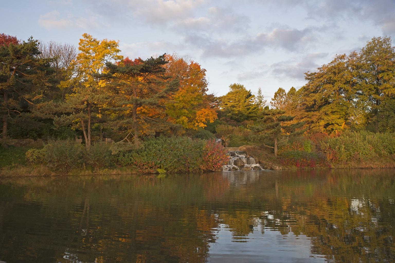 Fall at Chicago Botanic Garden's Waterfall Garden (Courtesy Chicago Botanic Garden)