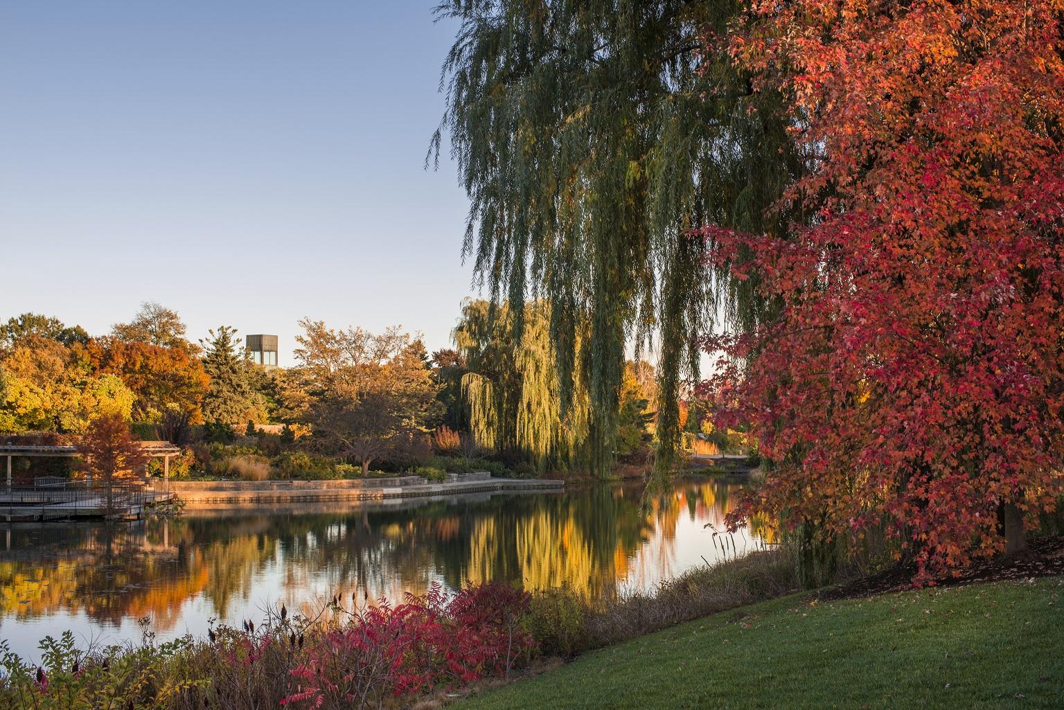 Fall Colors Are On Full Display At Chicago Botanic Garden