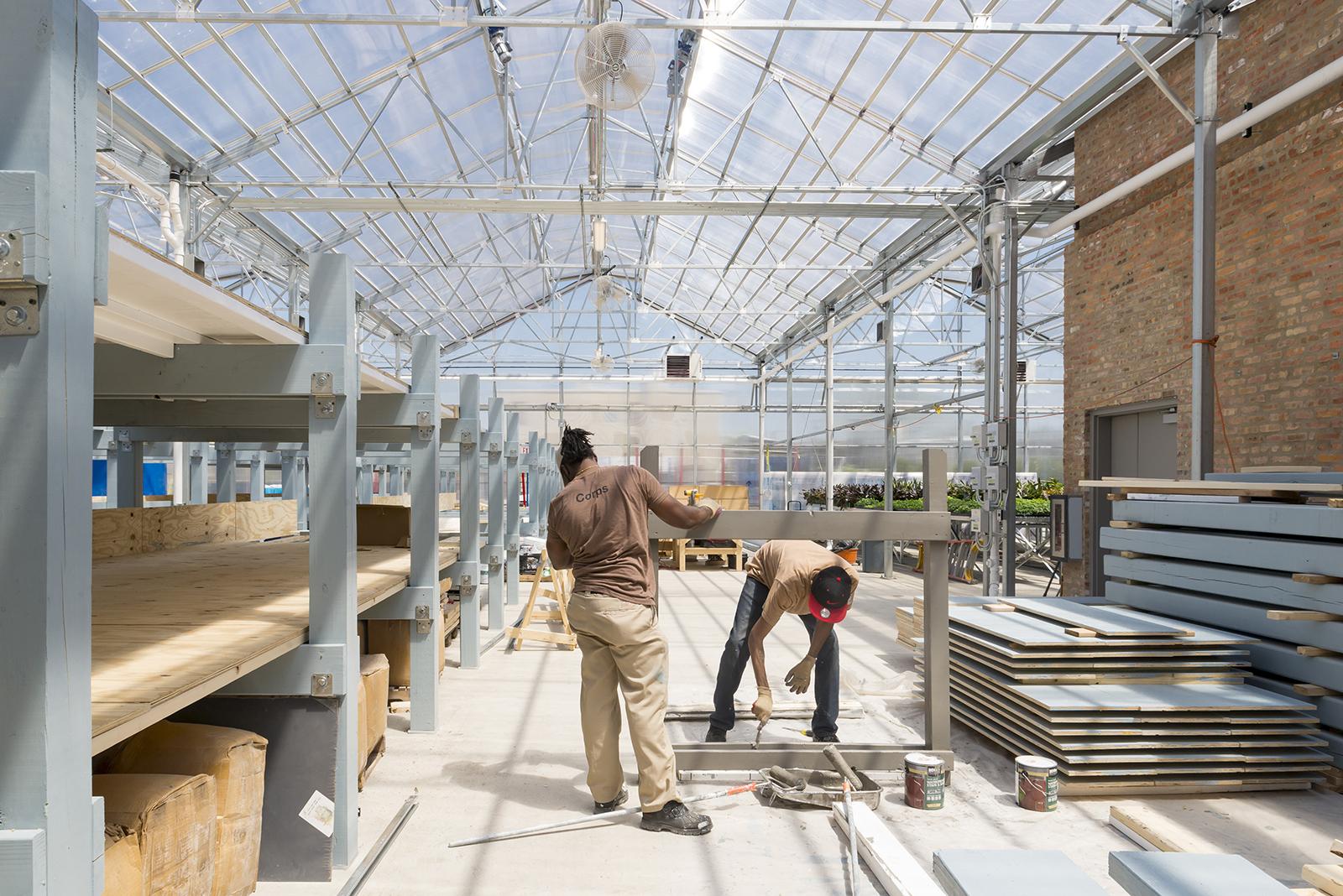 Participants in Windy City Harvest's Corps training program construct a platform for the Farm on Ogden's aquaponics system. (Courtesy Chicago Botanic Garden)