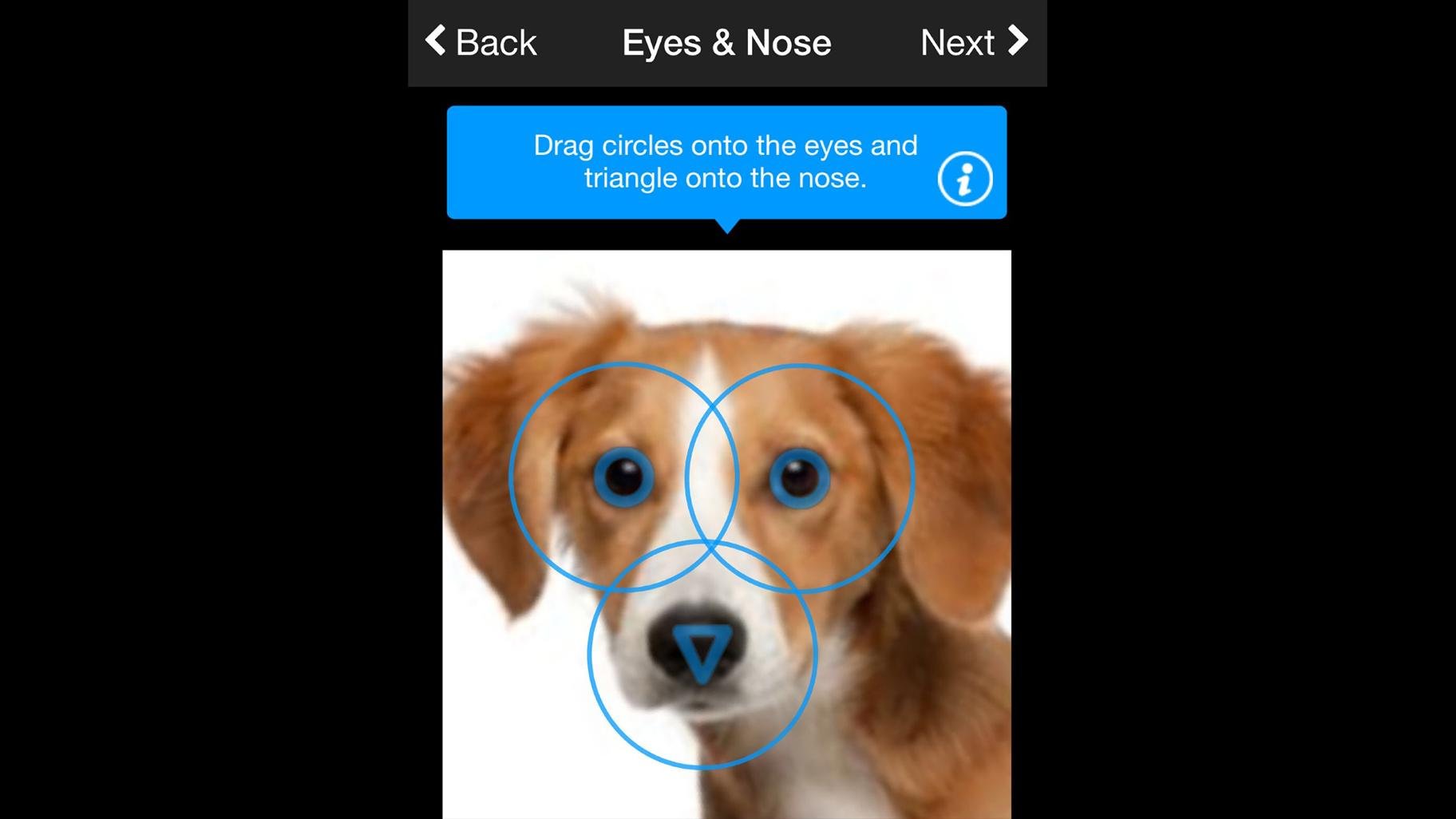 Finding Rover CEO John Polimeno said the app recognizes faces of animals with 98 percent accuracy. (Courtesy Finding Rover)