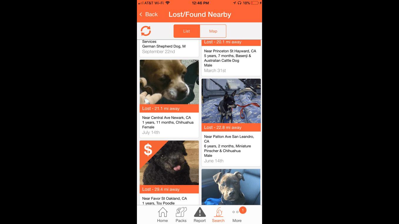 Finding Rover’s database of lost pets updates hourly. (Courtesy Finding Rover)