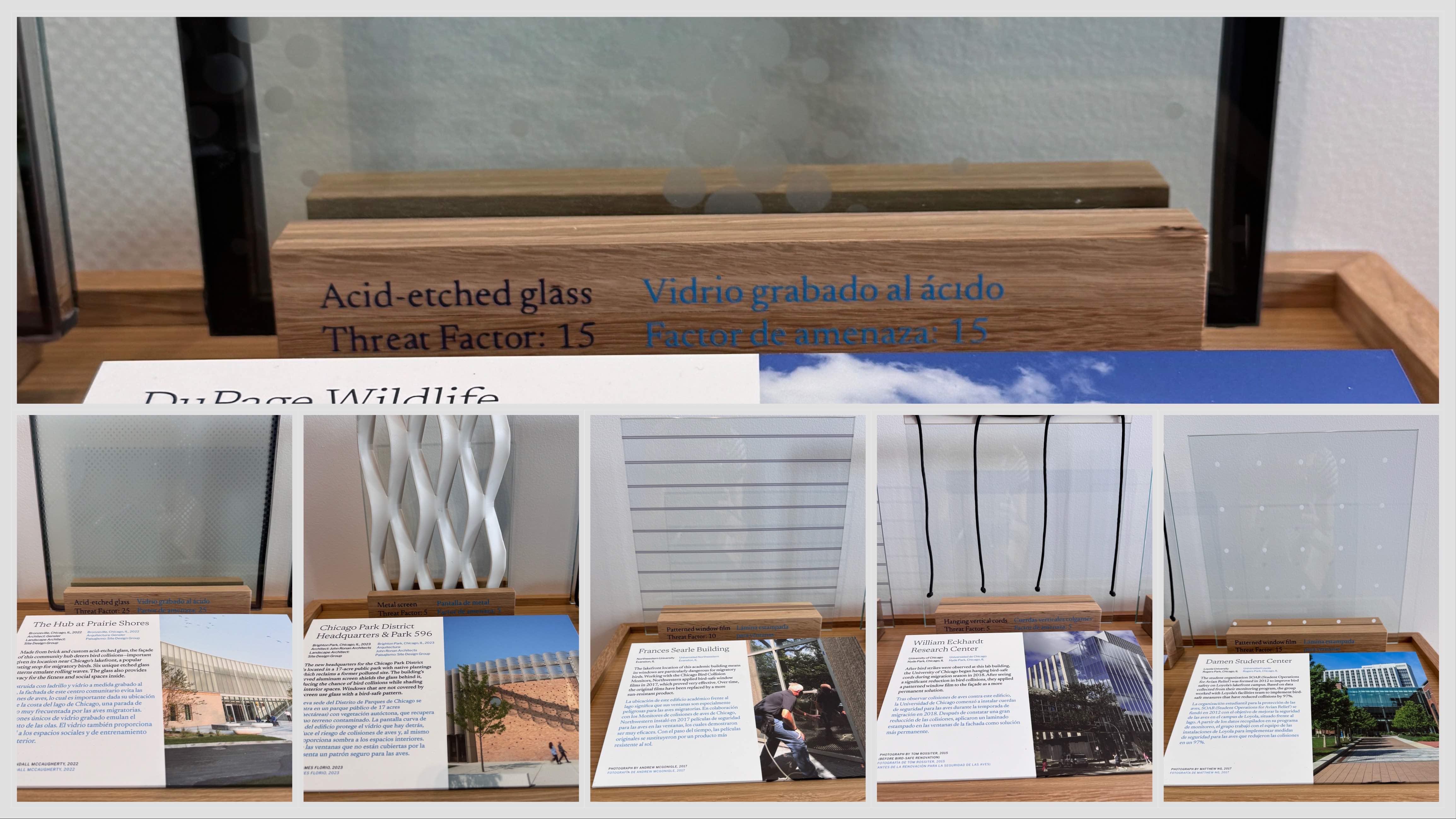 Different solutions to the same problem: “Flyway City” features samples of various bird-friendly window treatments. (Patty Wetli / WTTW News)