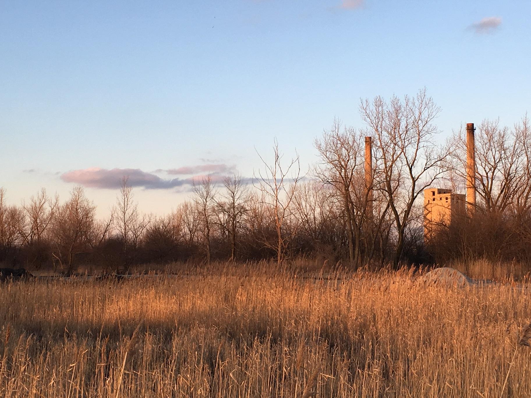 Big Marsh Park at dusk, when monitors record the mating calls of various frog species (Stephen Bell / Chicago Park District) 