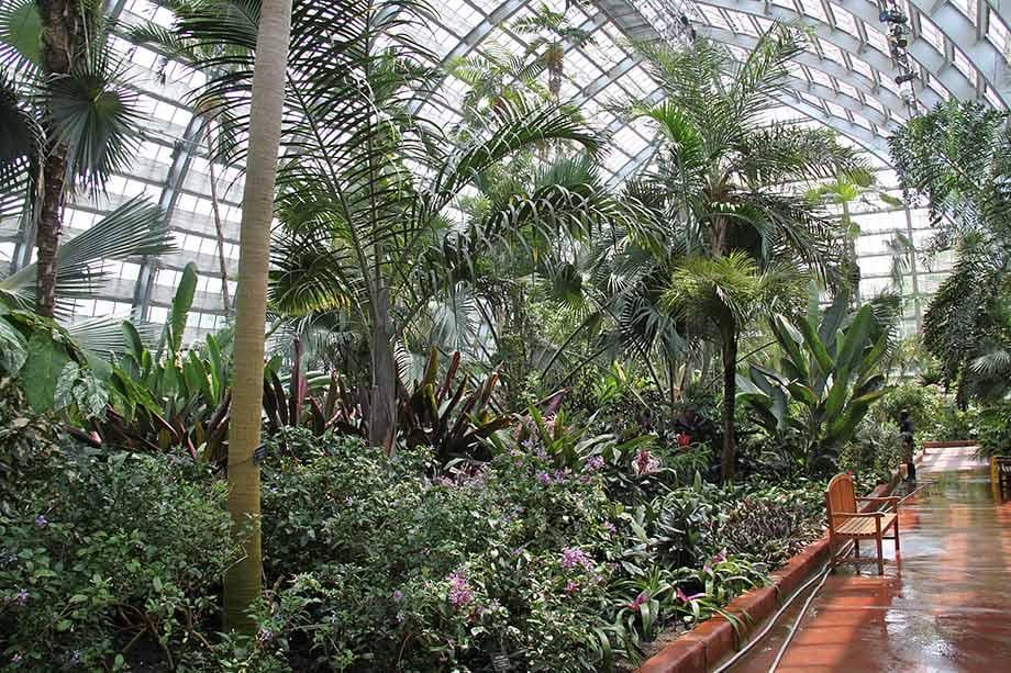 Garfield Park Conservatory