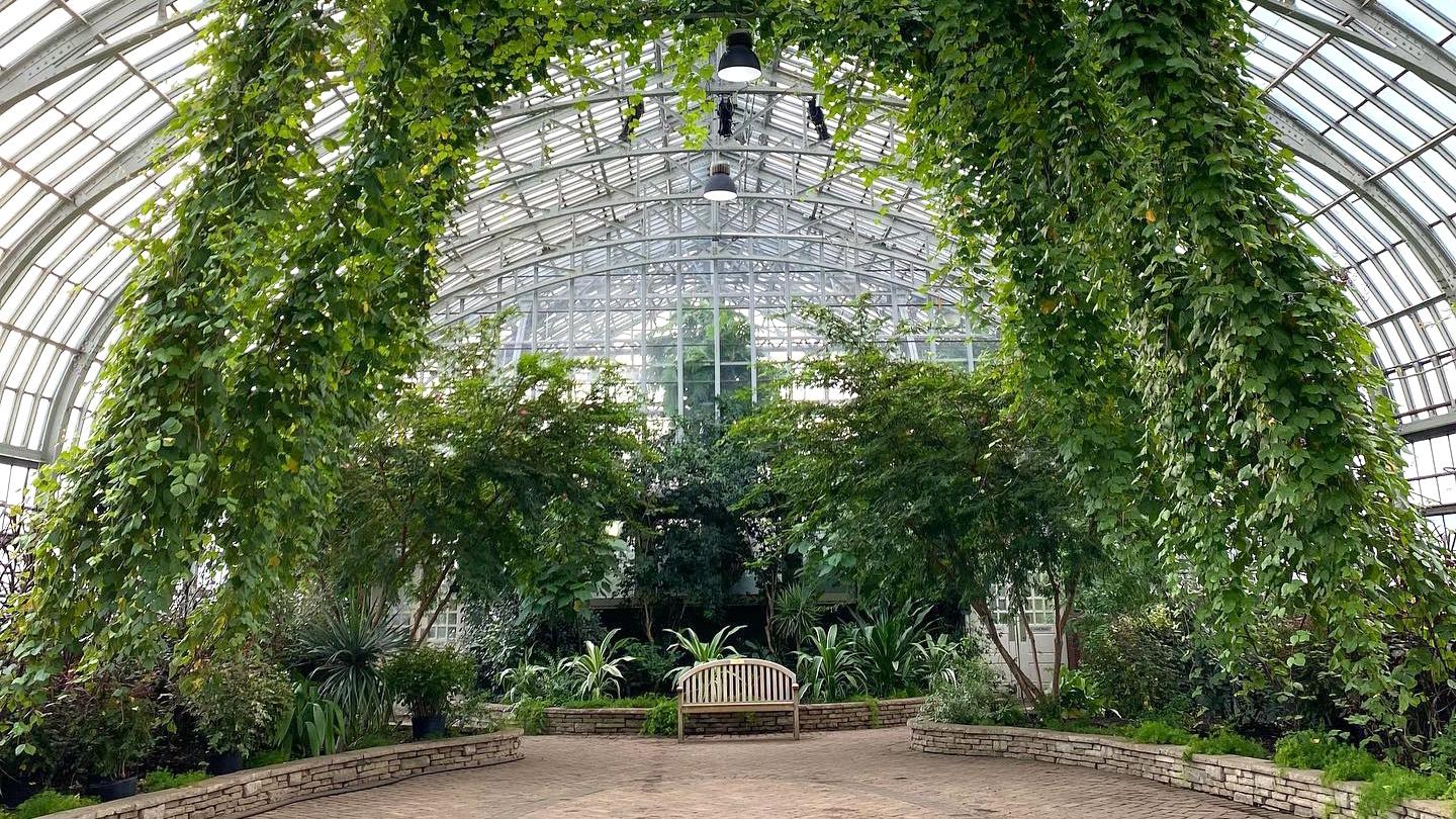 Garfield Park Conservatory's winter flower show, "Serenity," is designed to evoke a sense of tranquility. (Courtesy of Chicago Park District)