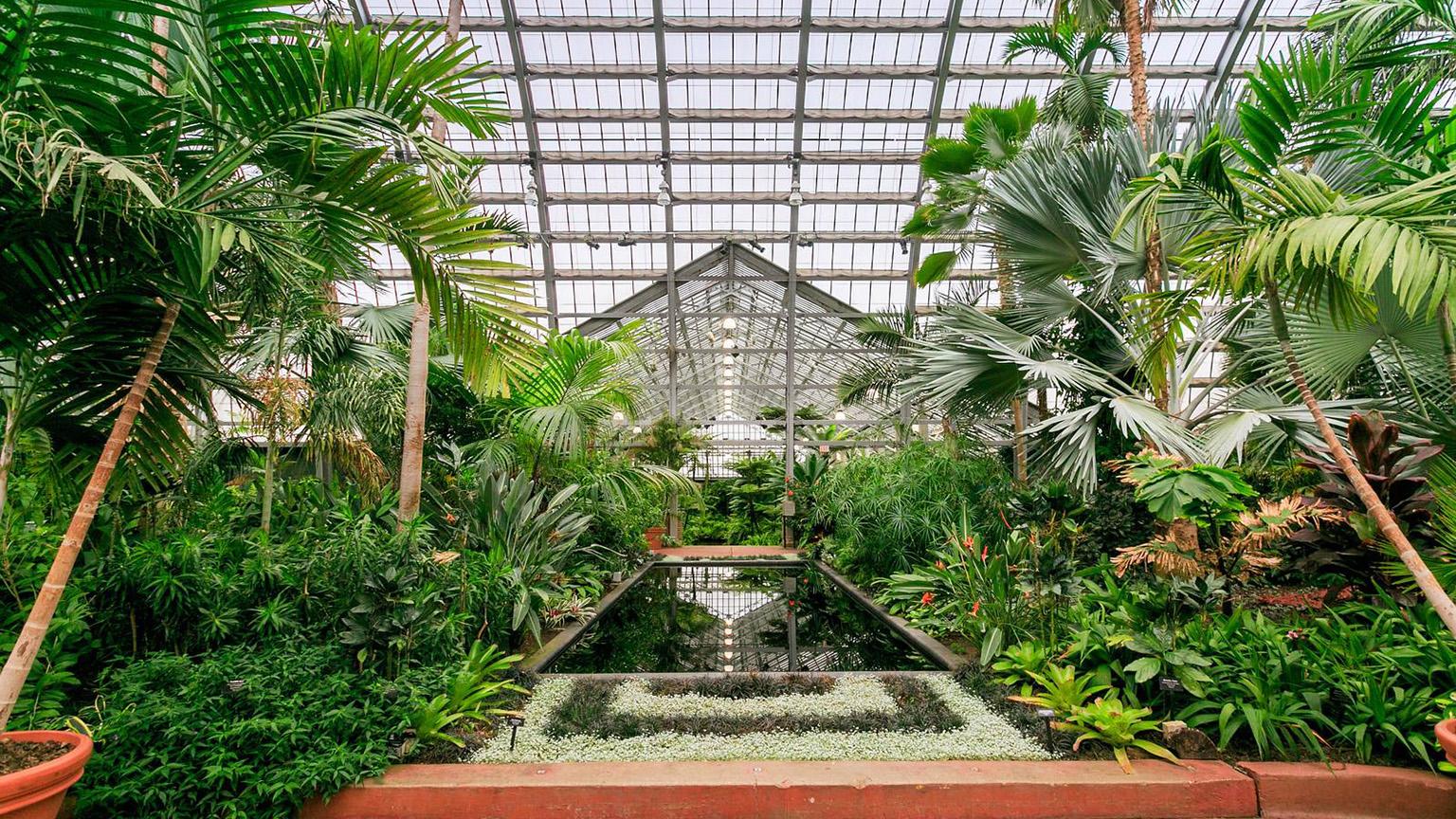 (Garfield Park Conservatory / Facebook)