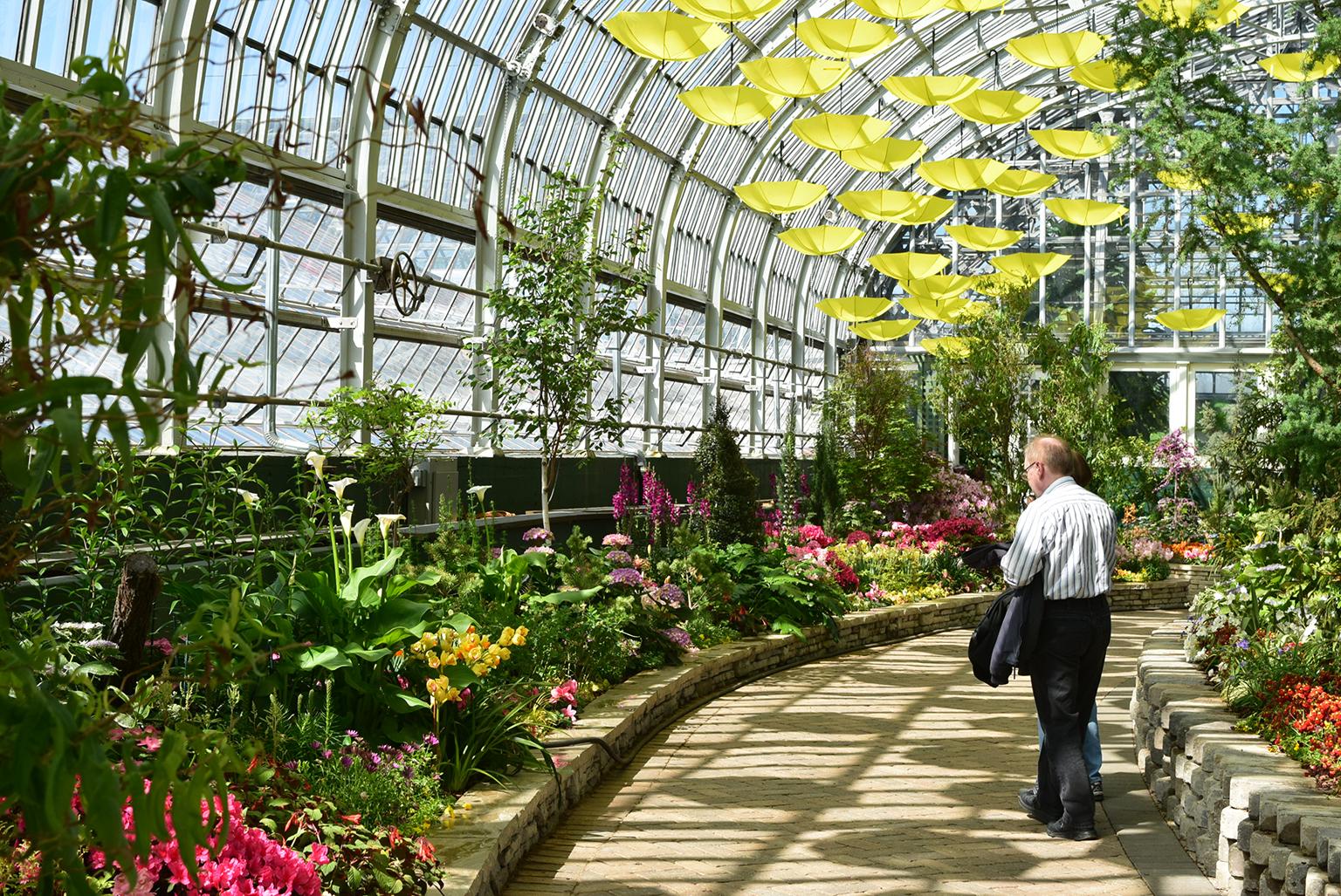 Garfield Park Conservatory (Stephen Boisvert / Flickr)