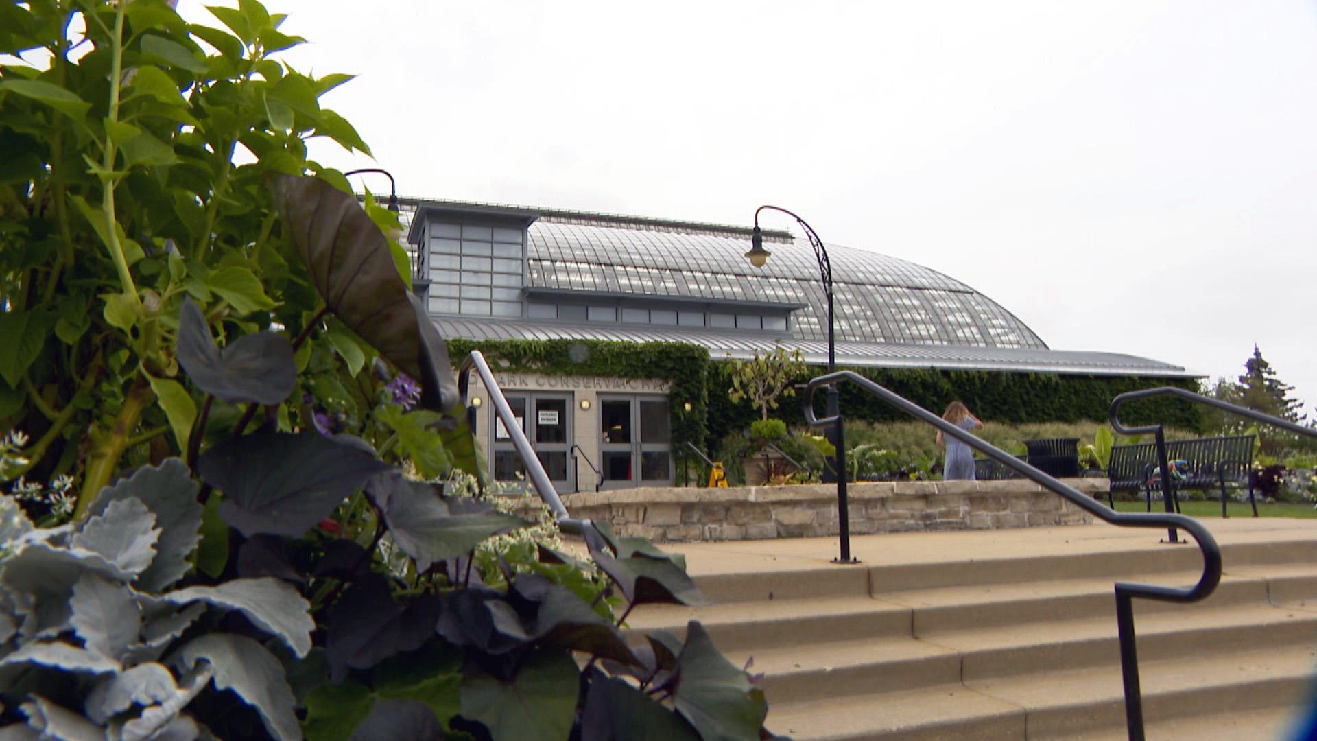 The Garfield Park Conservatory (WTTW News)