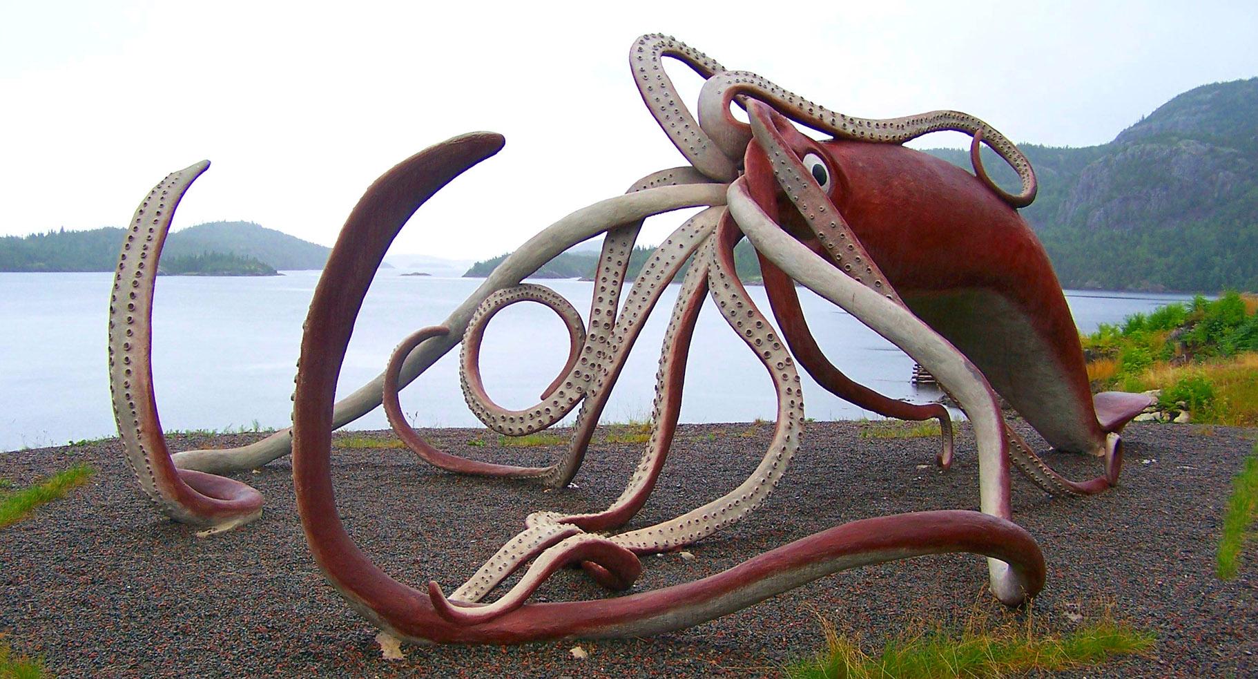 A model of a giant squid in Glover’s Harbour, Newfoundland. (Robert Hiscock / Flickr)