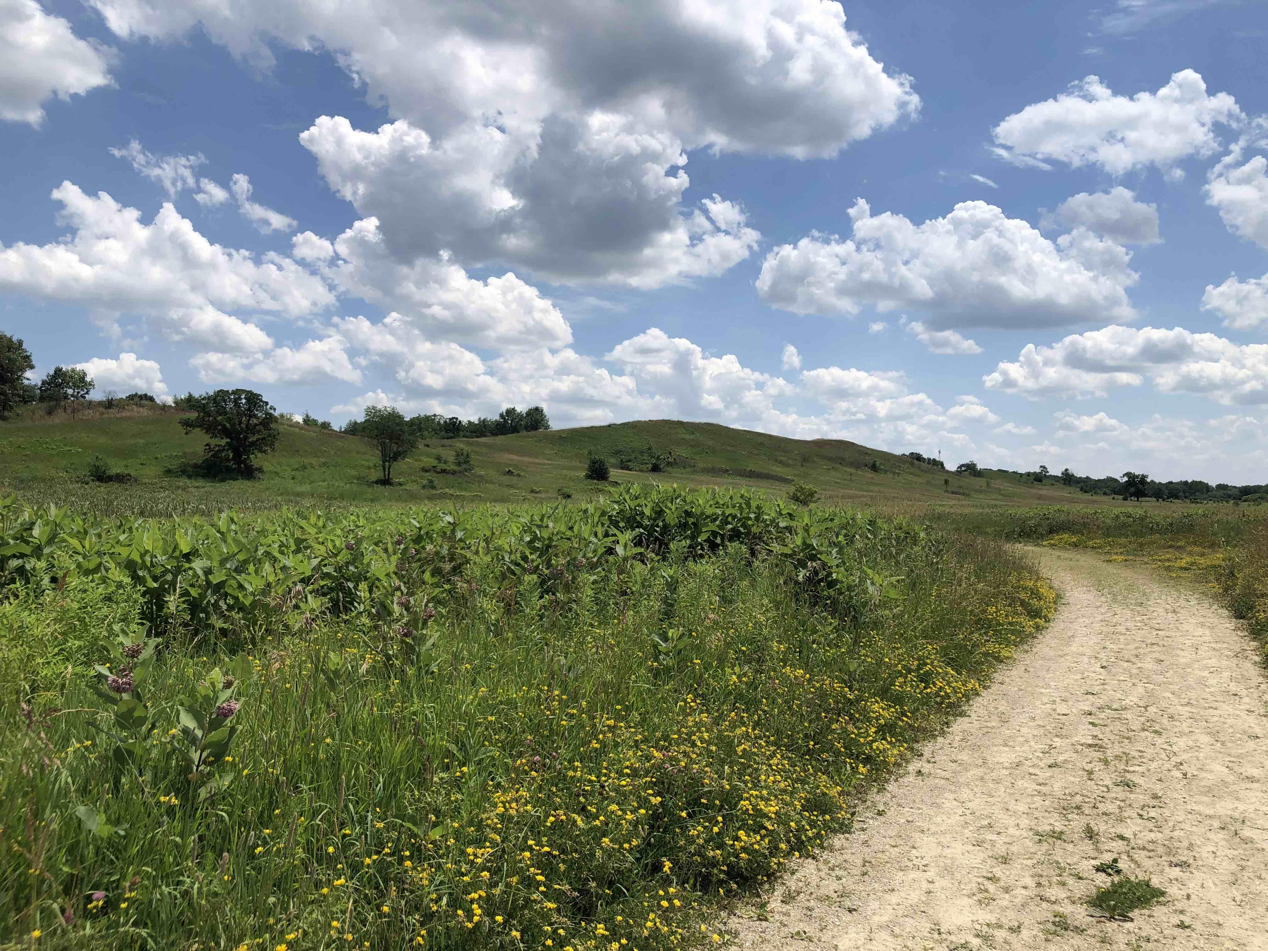 Glacial Park, with its distinctive glacial mounds, is one of the most visited sites with the Hackmatack National Wildlife Refuge. Tamarack Farms will now connect the park to the North Branch Preserve. (Patty Wetli / WTTW News)