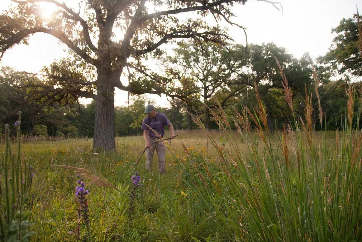 The Spring Creek Reservoir Forest Preserve in Bloomingdale (Daniel Suarez / Audubon Great Lakes)