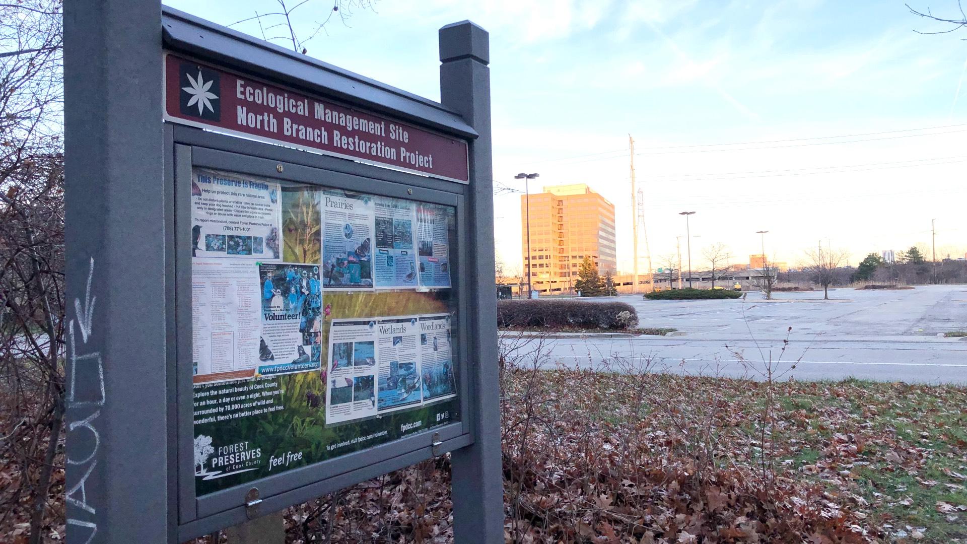 The Harmswoods Nature Reserve is opposite Skokie's potential Carvana vending machine site. (Patty Wetli / WTTW News)