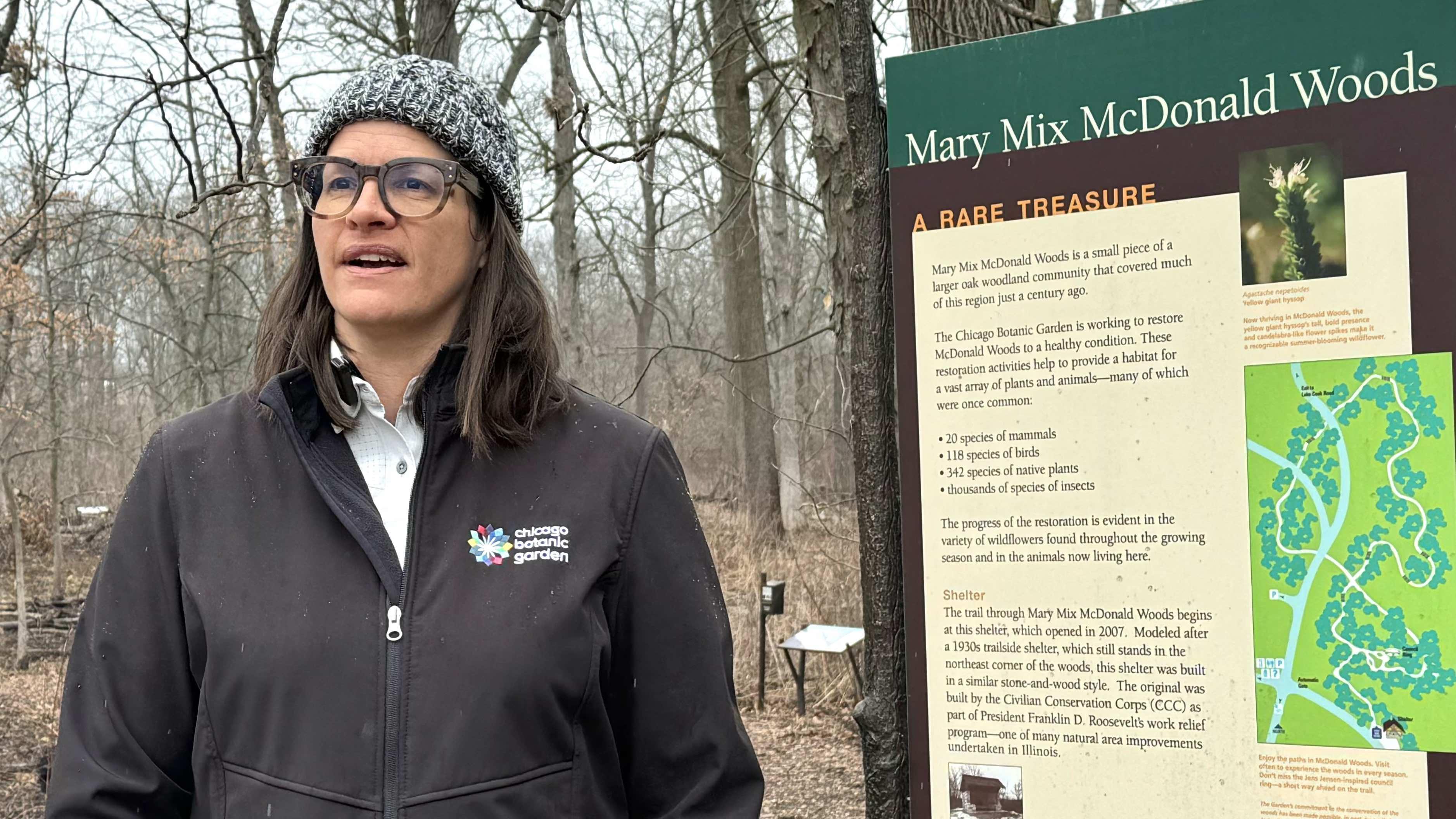 Heather Decker, managing ecologist at the Chicago Botanic Garden, prepares to set out on a hunt for skunk cabbage at McDonald Woods. (Patty Wetli / WTTW News)