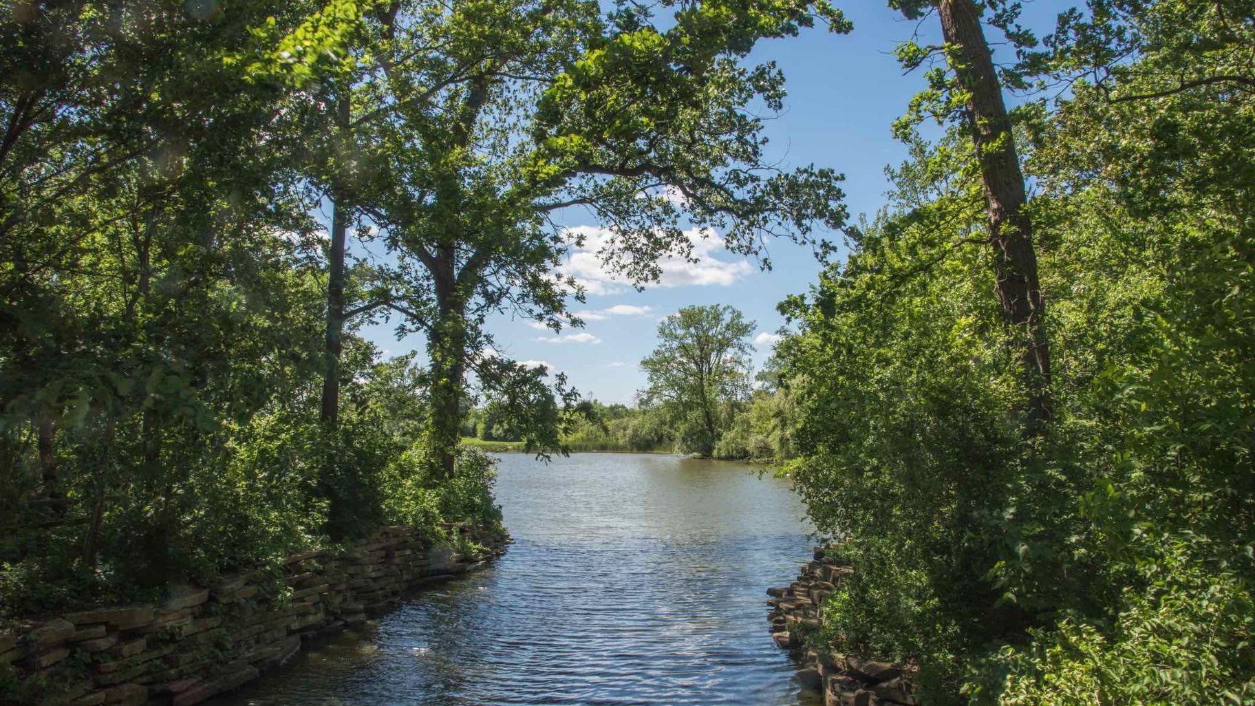 Herrick Lake Forest Preserve in DuPage County. (EAGiven / iStock)