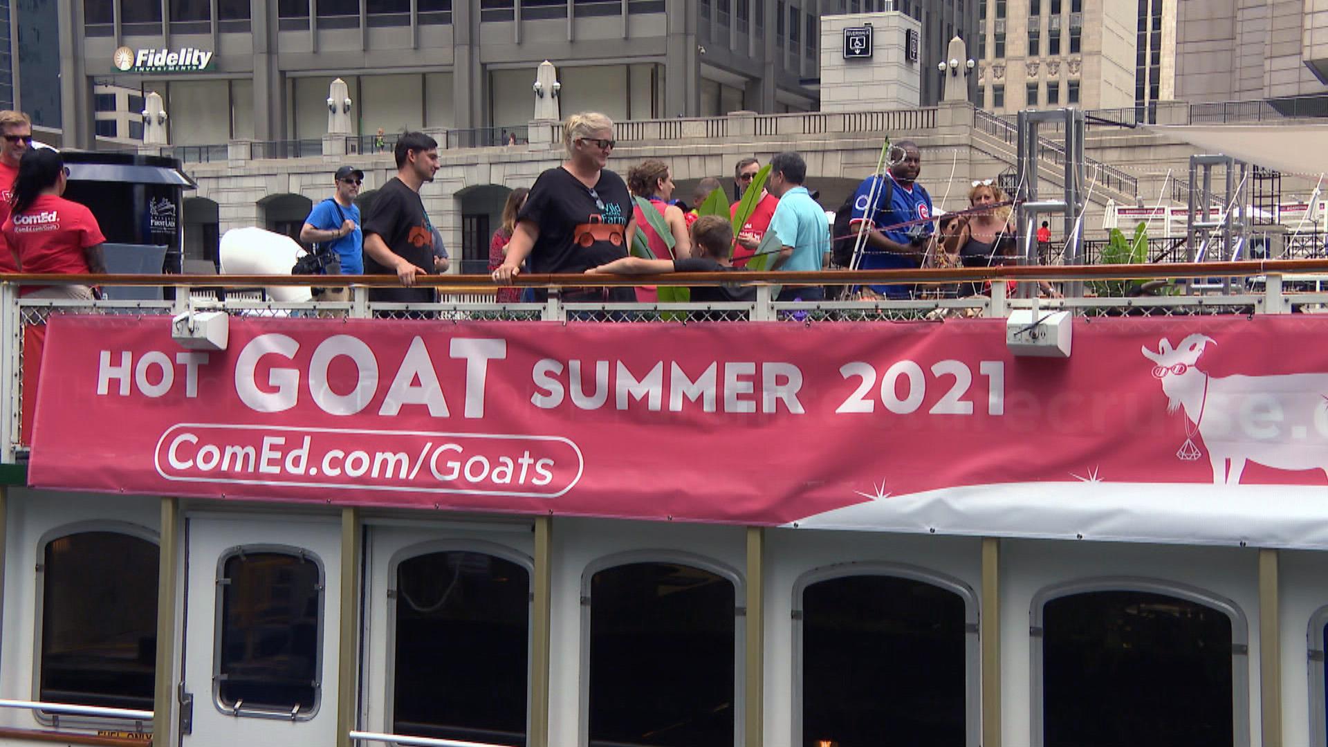 A boat carries two- and four-legged passengers along the Chicago River on Wednesday, July 7, 2021. (WTTW News)