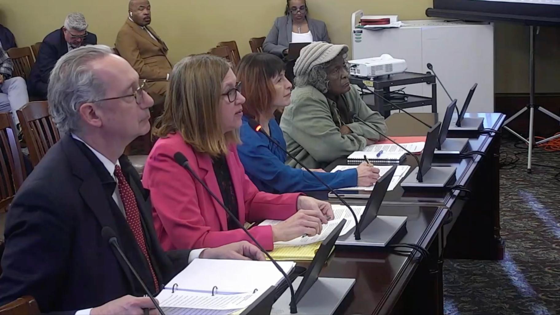 Proponents of the Metropolitan Mobility Authority Act proposal, which calls for combining the Chicago area’s public transit systems into a single agency, speak during a House transportation committee hearing on March 25, 2025, in Springfield. (Courtesy of BlueRoomStream)